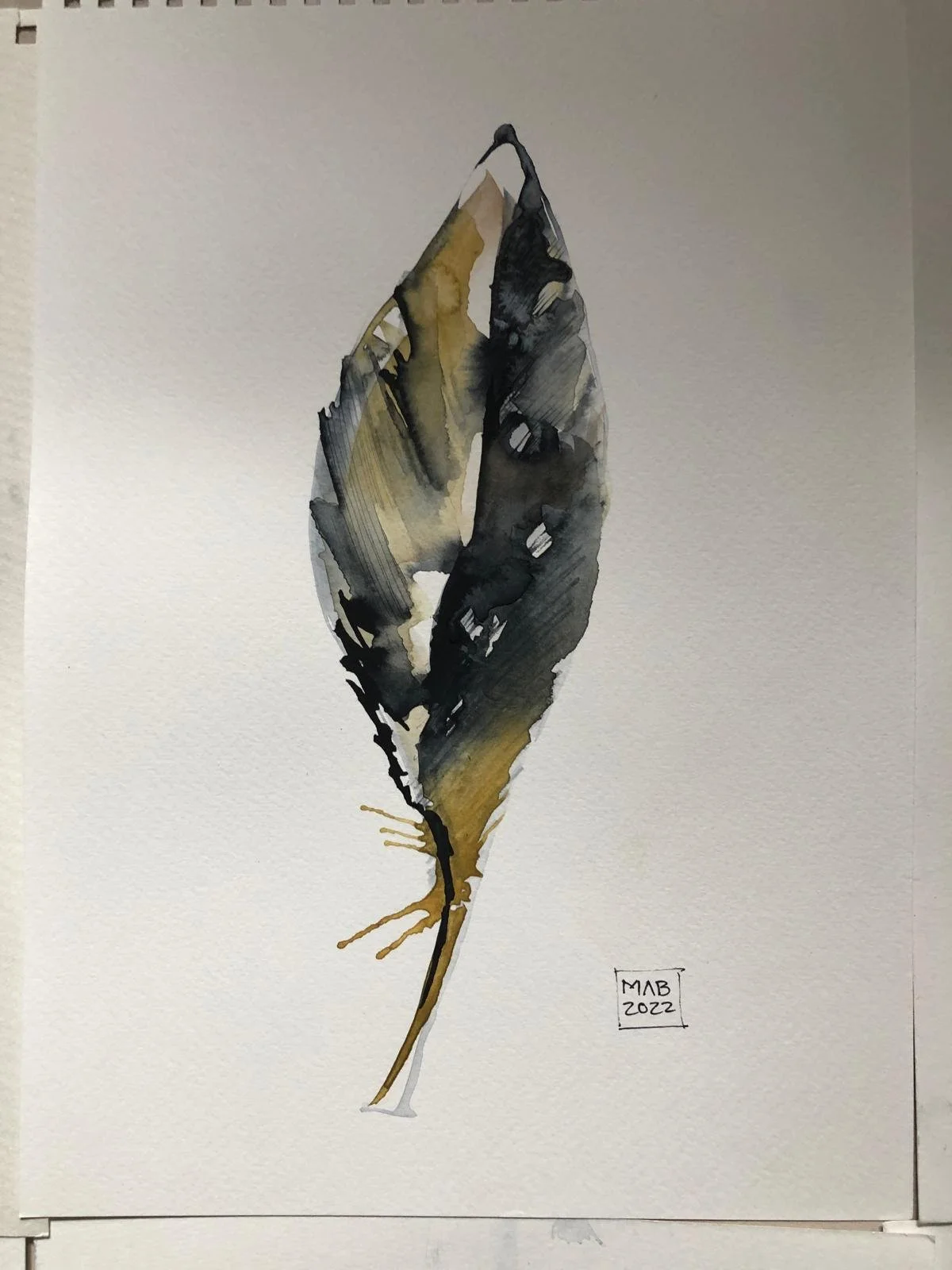 WhatsApp Image 2026-04-01 at 18.44.12 (11).jpeg