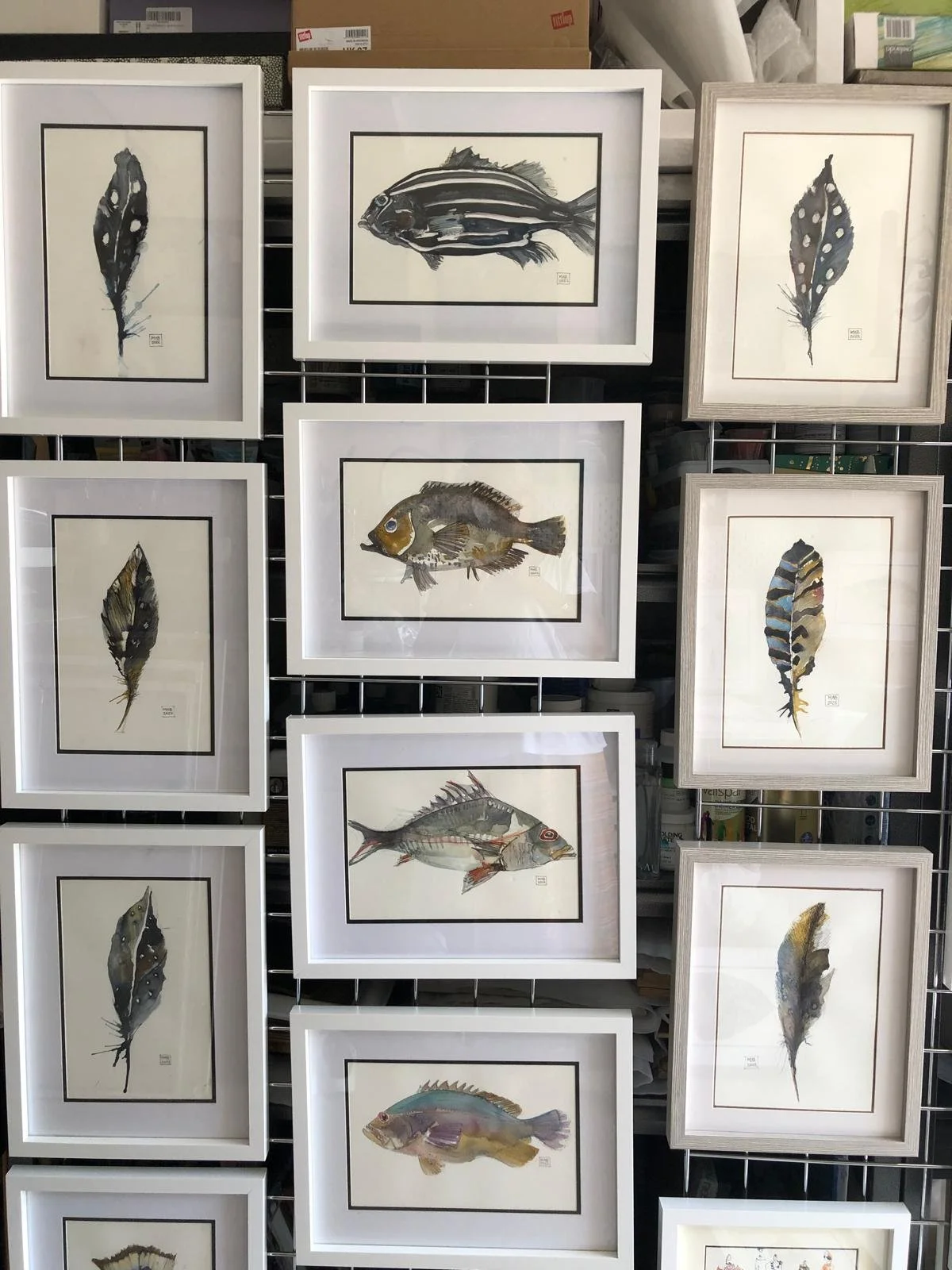 WhatsApp Image 2026-04-01 at 18.47.57.jpeg