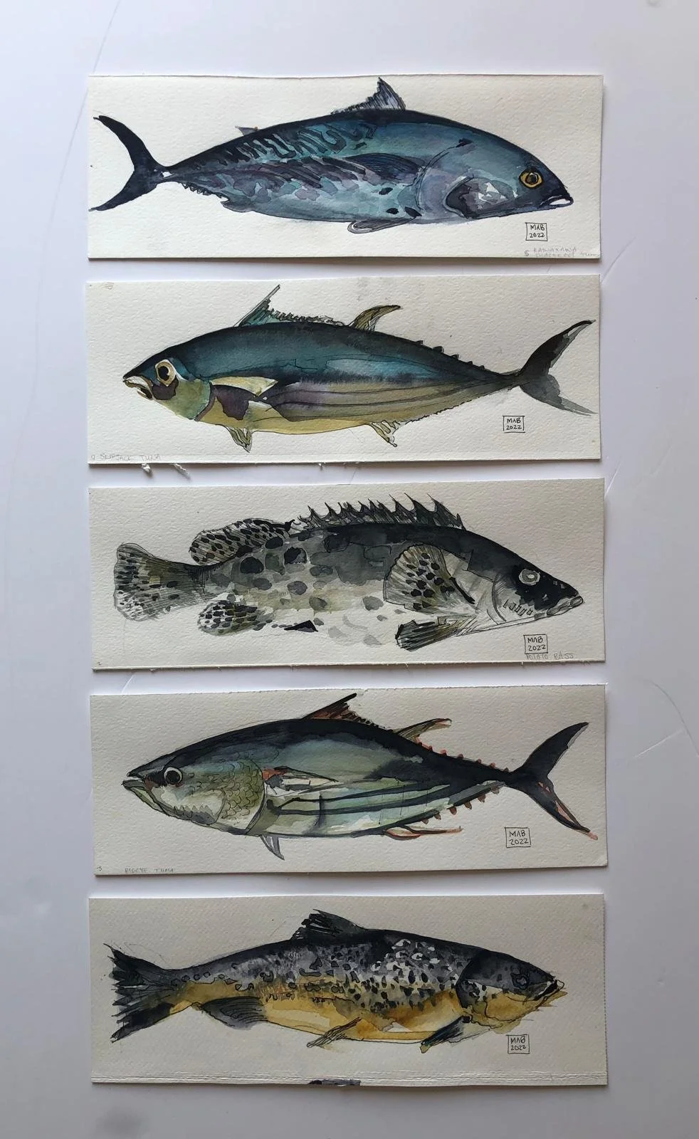 WhatsApp Image 2026-04-01 at 18.52.47.jpeg