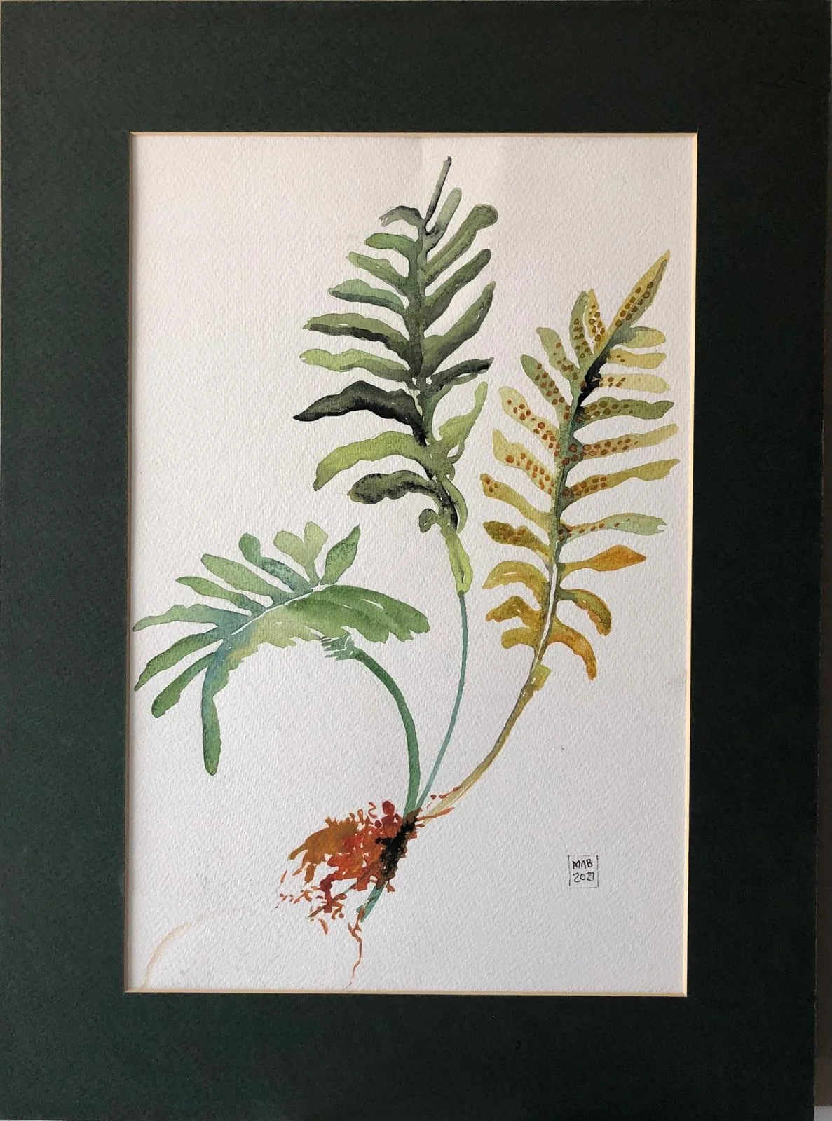 WhatsApp Image 2026-04-01 at 18.52.48 (1).jpeg