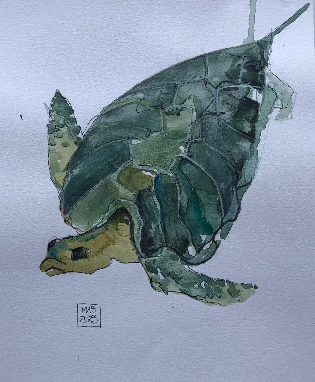 WhatsApp Image 2026-04-01 at 18.52.47 (4).jpeg