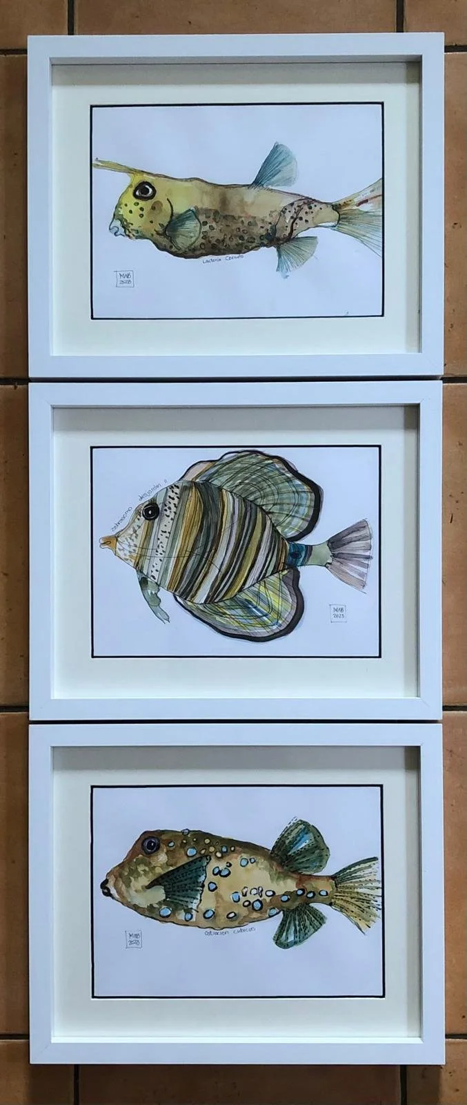 WhatsApp Image 2026-04-01 at 19.02.01.jpeg