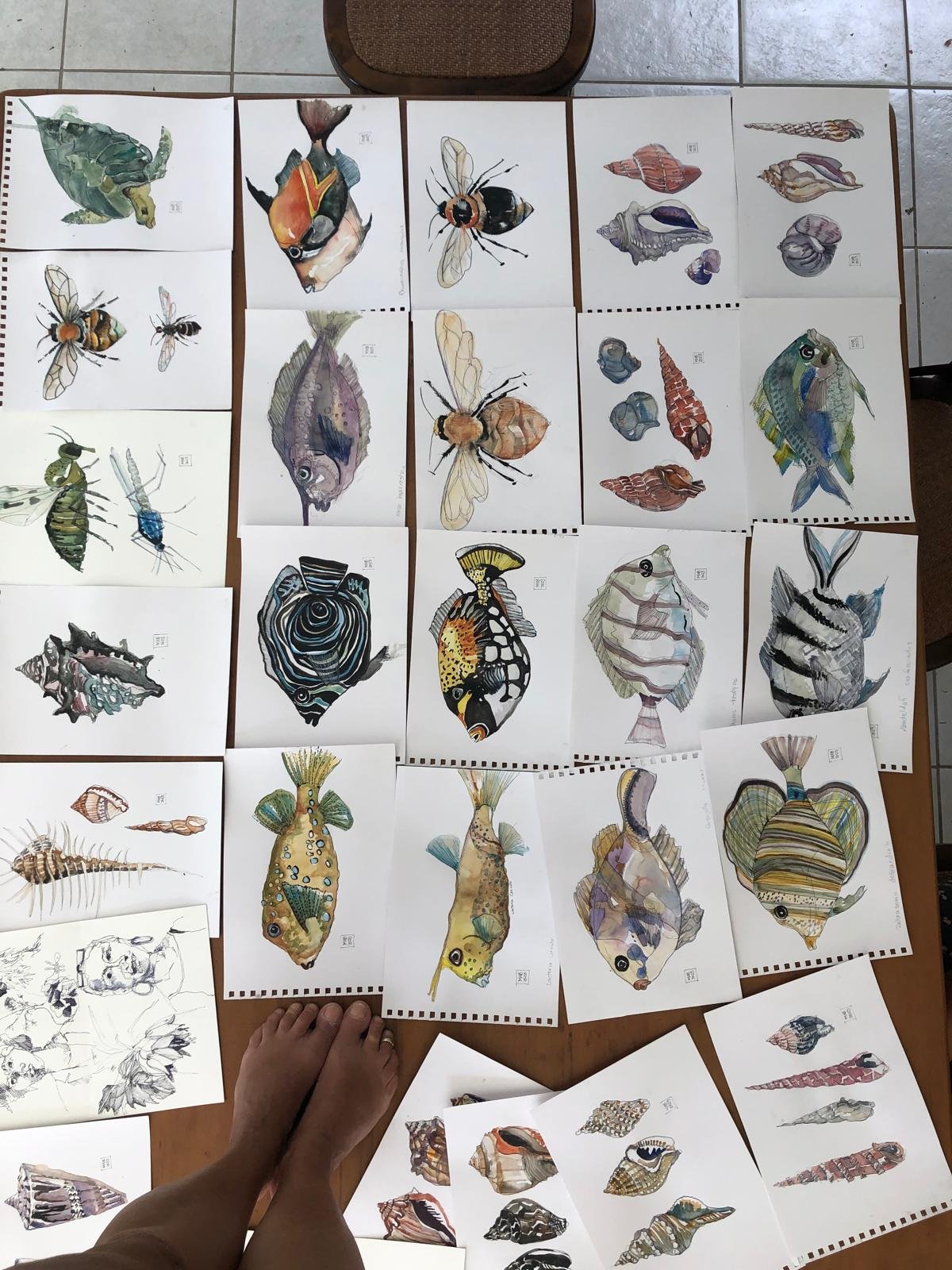 WhatsApp Image 2026-04-01 at 18.46.03.jpeg