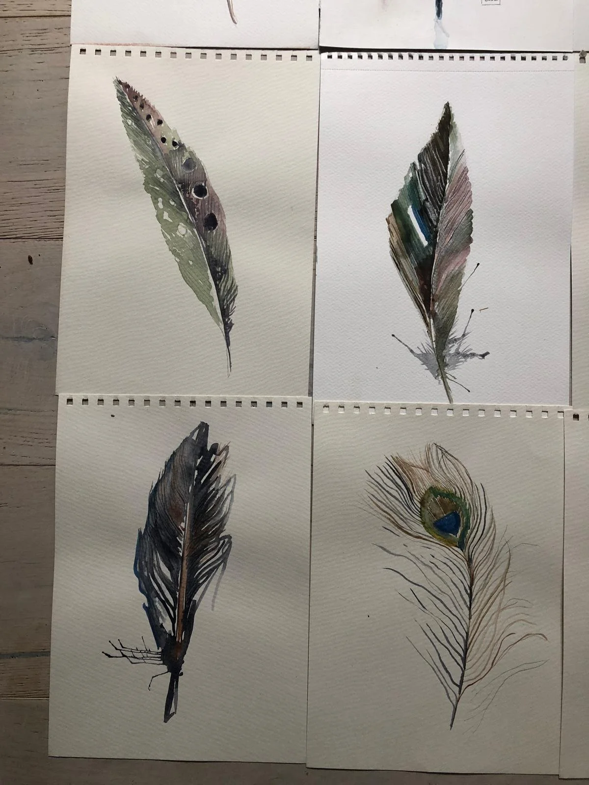 WhatsApp Image 2026-04-01 at 18.44.12 (1).jpeg