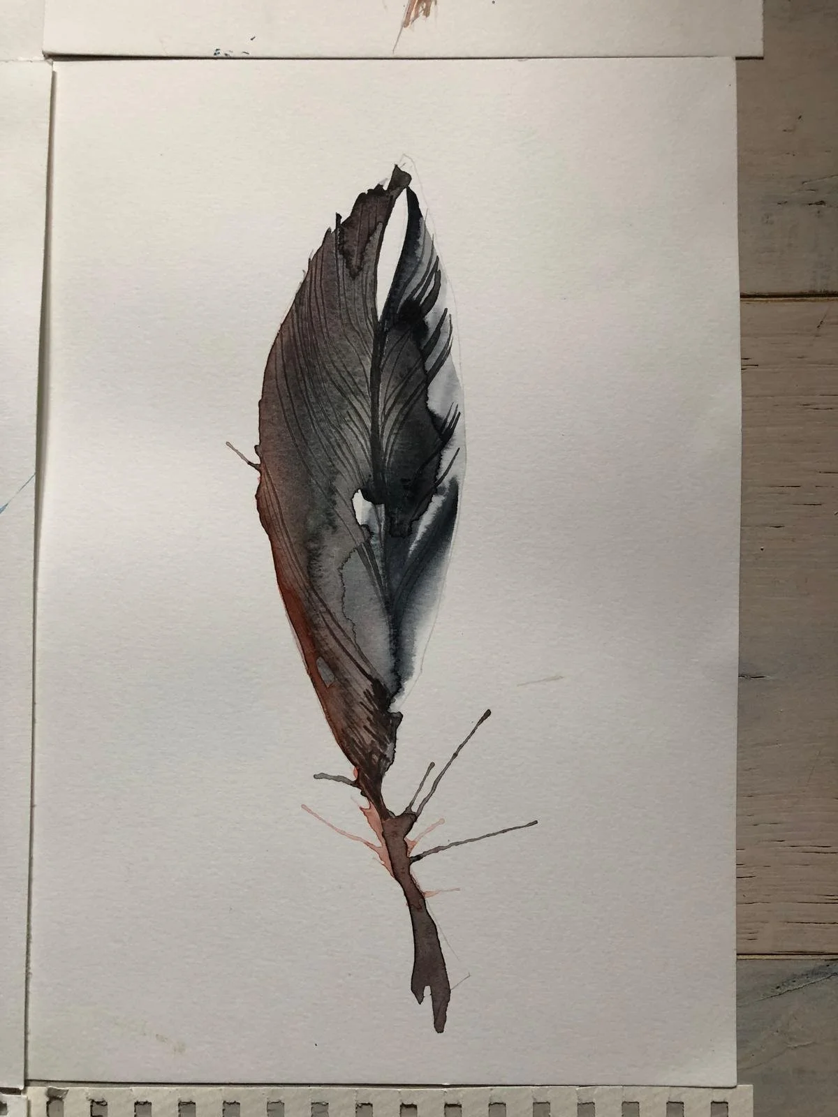 WhatsApp Image 2026-04-01 at 18.44.12 (4).jpeg