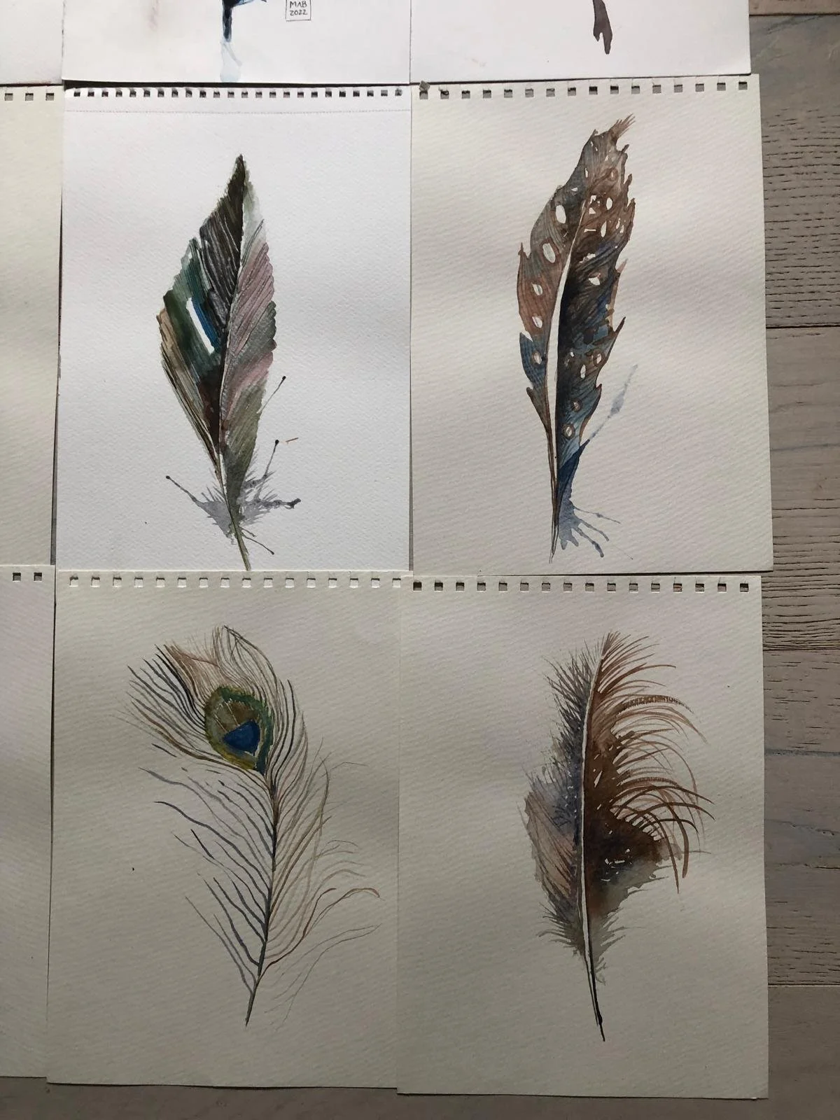 WhatsApp Image 2026-04-01 at 18.44.12 (2).jpeg