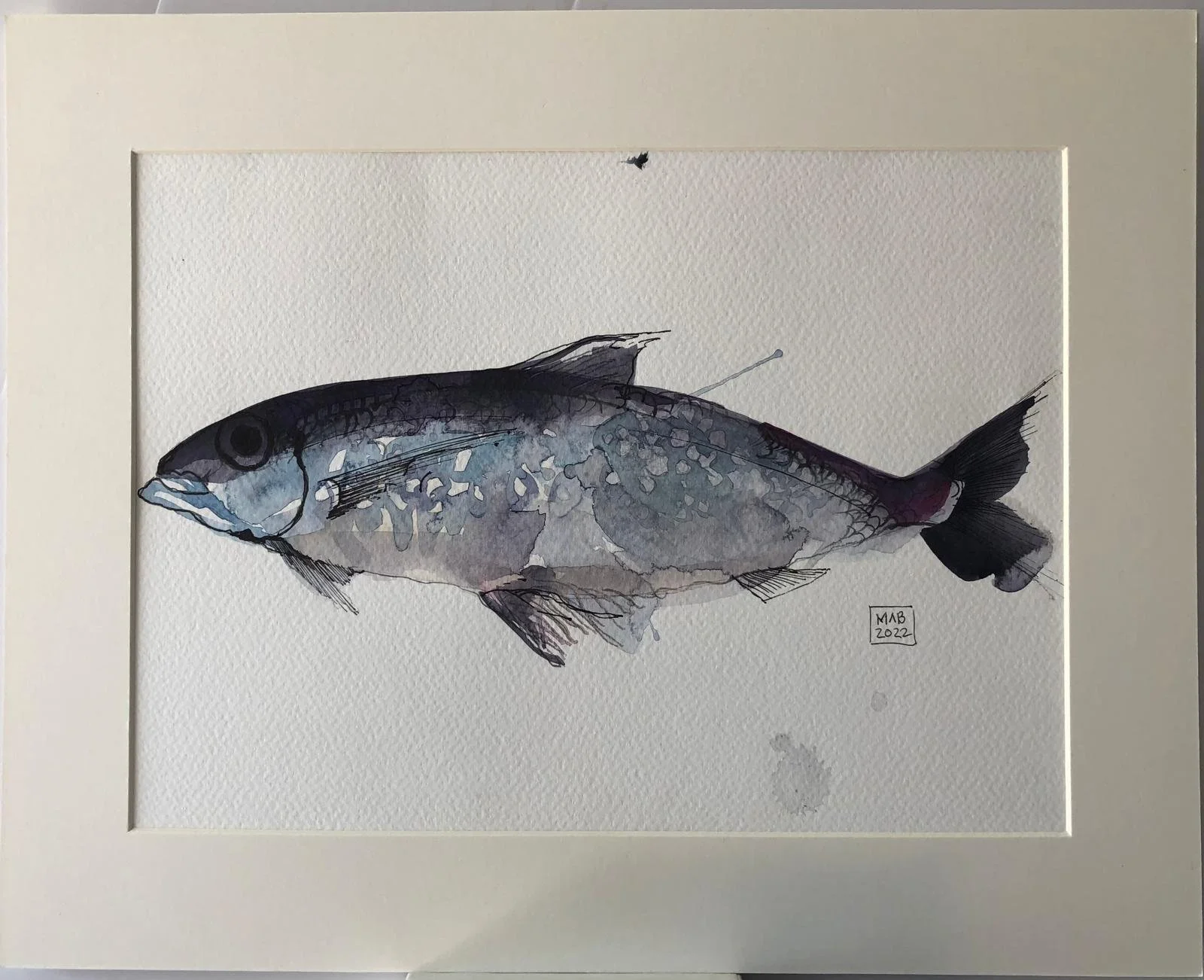 WhatsApp Image 2026-04-01 at 18.52.46 (5).jpeg