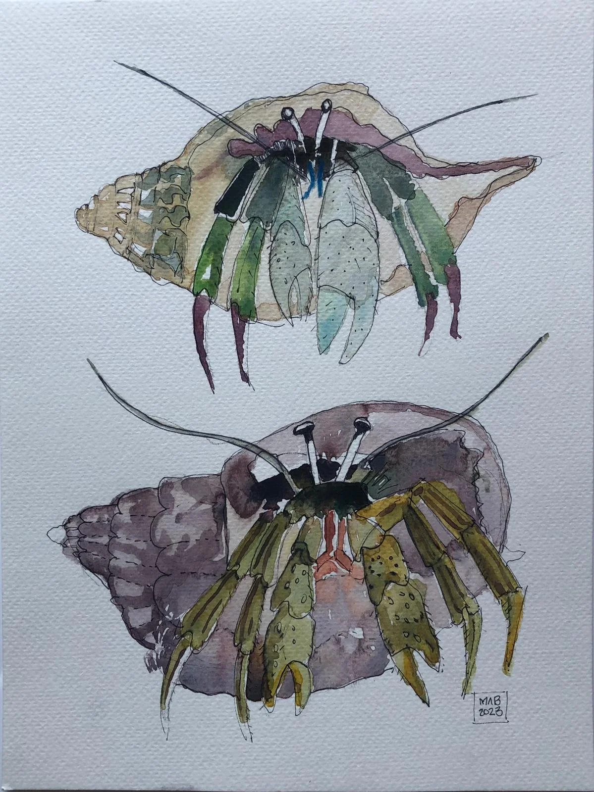 WhatsApp Image 2026-04-01 at 18.52.47 (1).jpeg