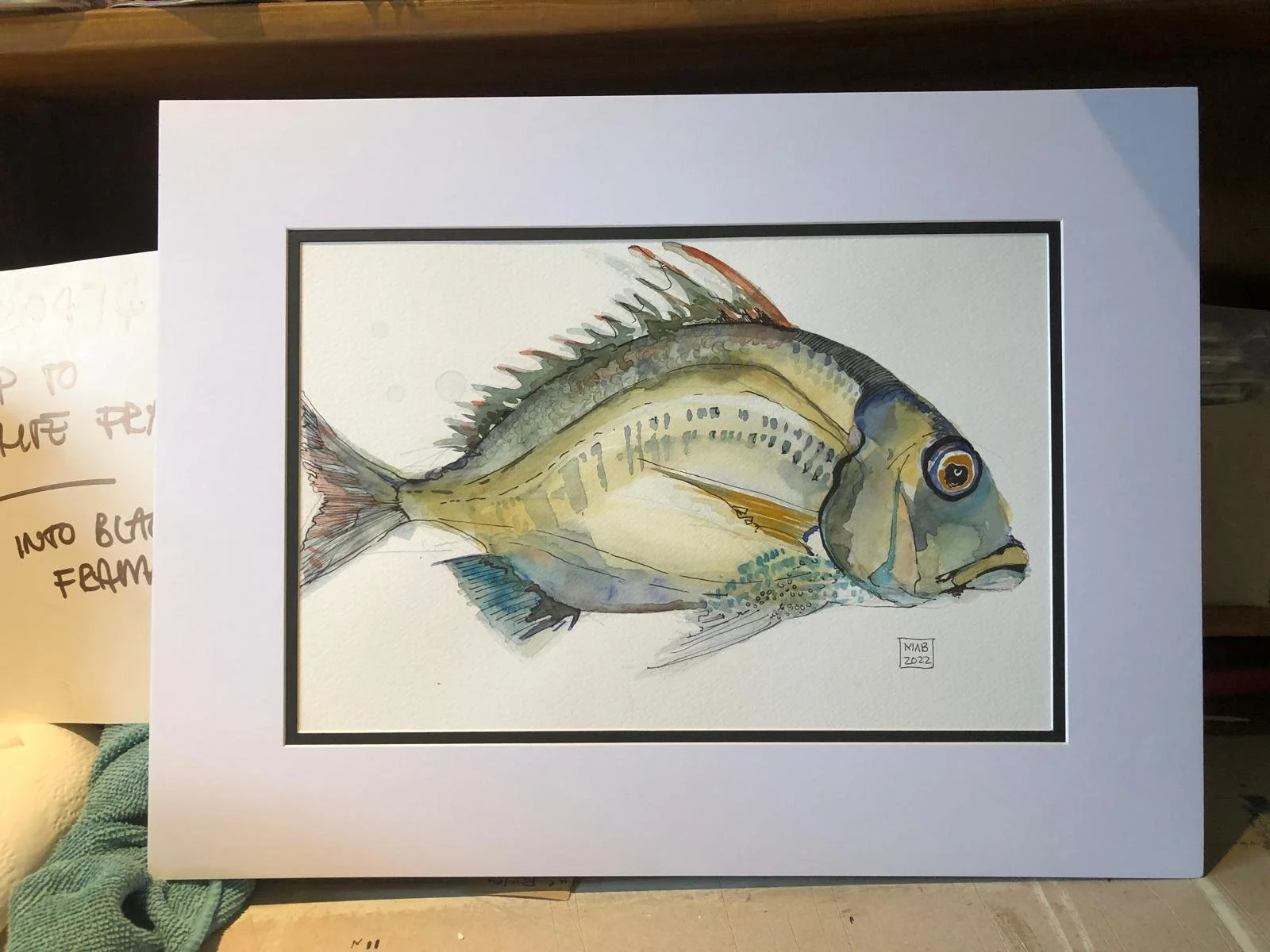 WhatsApp Image 2026-04-01 at 18.44.11 (1).jpeg