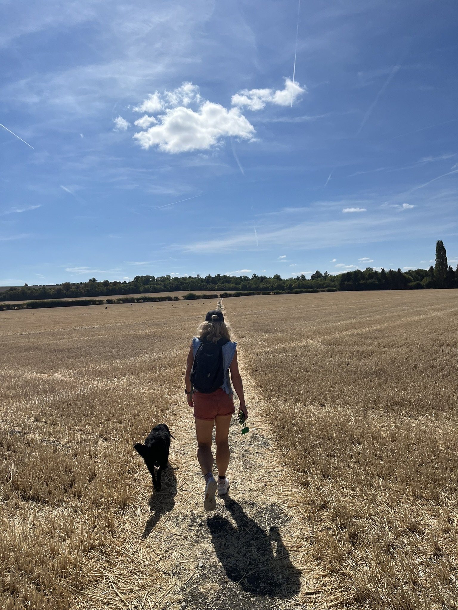 A woman with a backpack walking on a dirt path through a field of harvested wheat, accompanied by two dogs on a sunny day with a clear blue sky and scattered clouds.