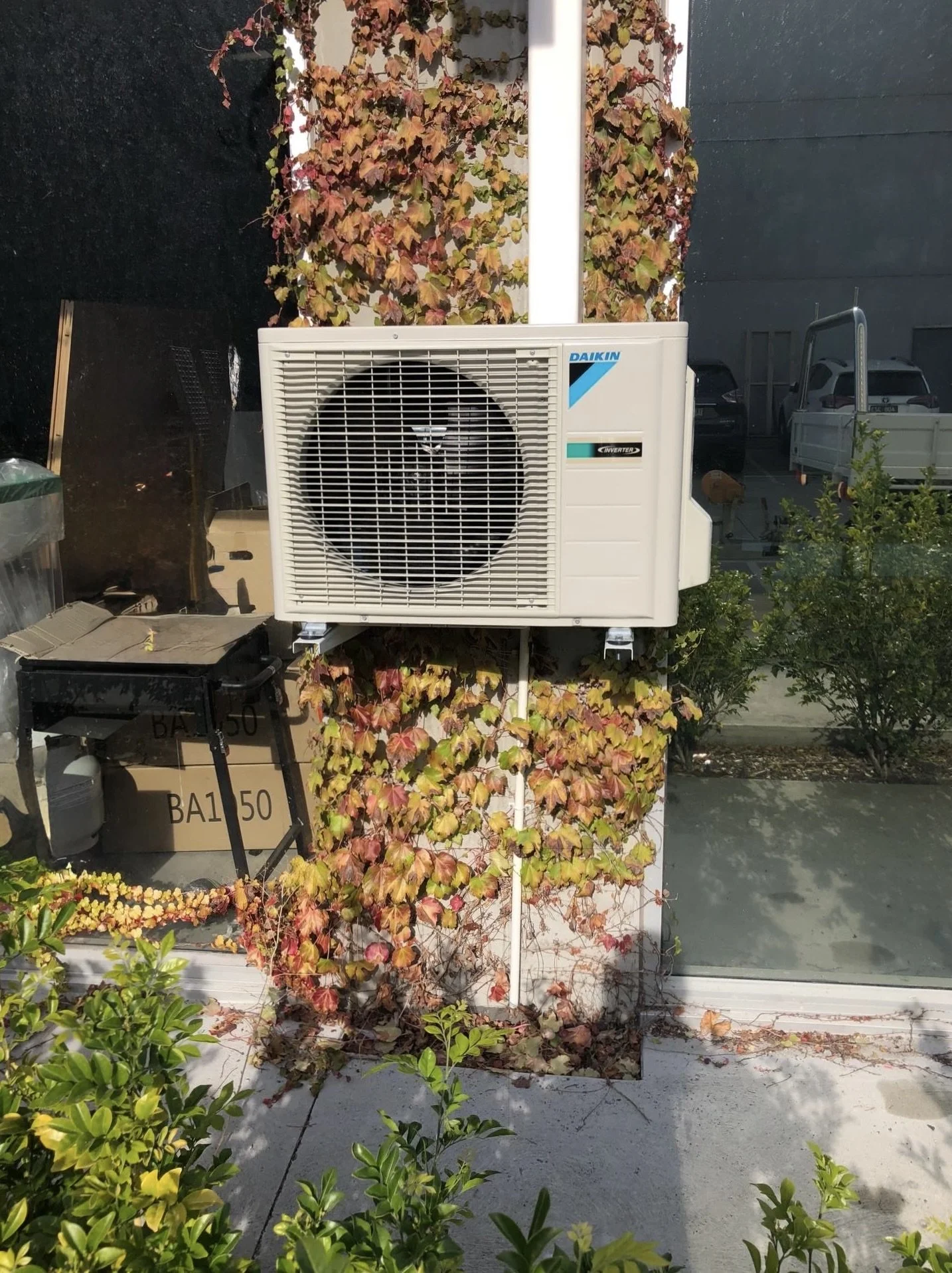 An outdoor air conditioning unit mounted on a wall with ivy plants growing around it, and bushes in the foreground.