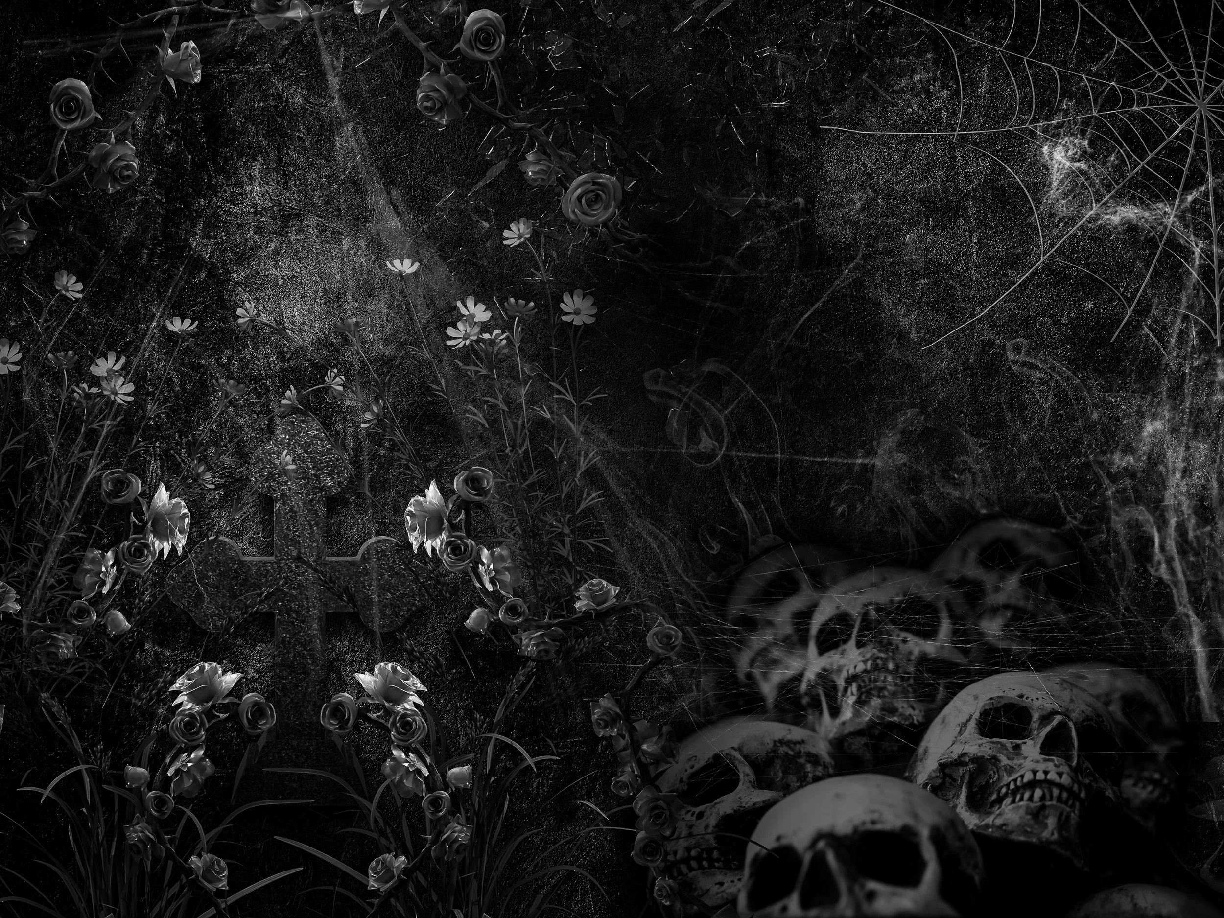 Dark, ominous scene with human skulls in the foreground, roses and daisies growing in the middle, and a large spider web in the upper right corner, set against a textured black background.