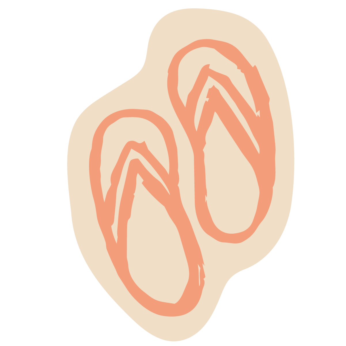 Illustration of a sweet potato with its cross-section showing orange flesh and inner structure.