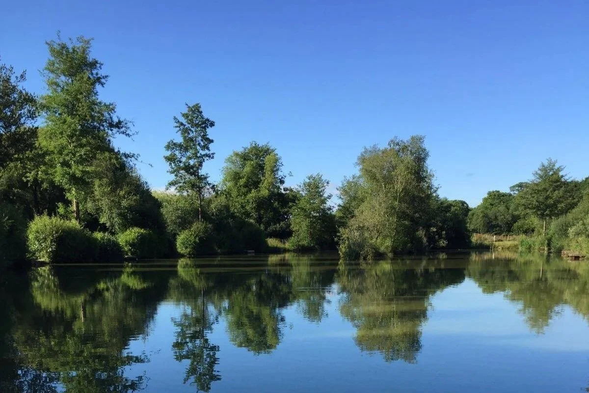Whitemoor Lakes