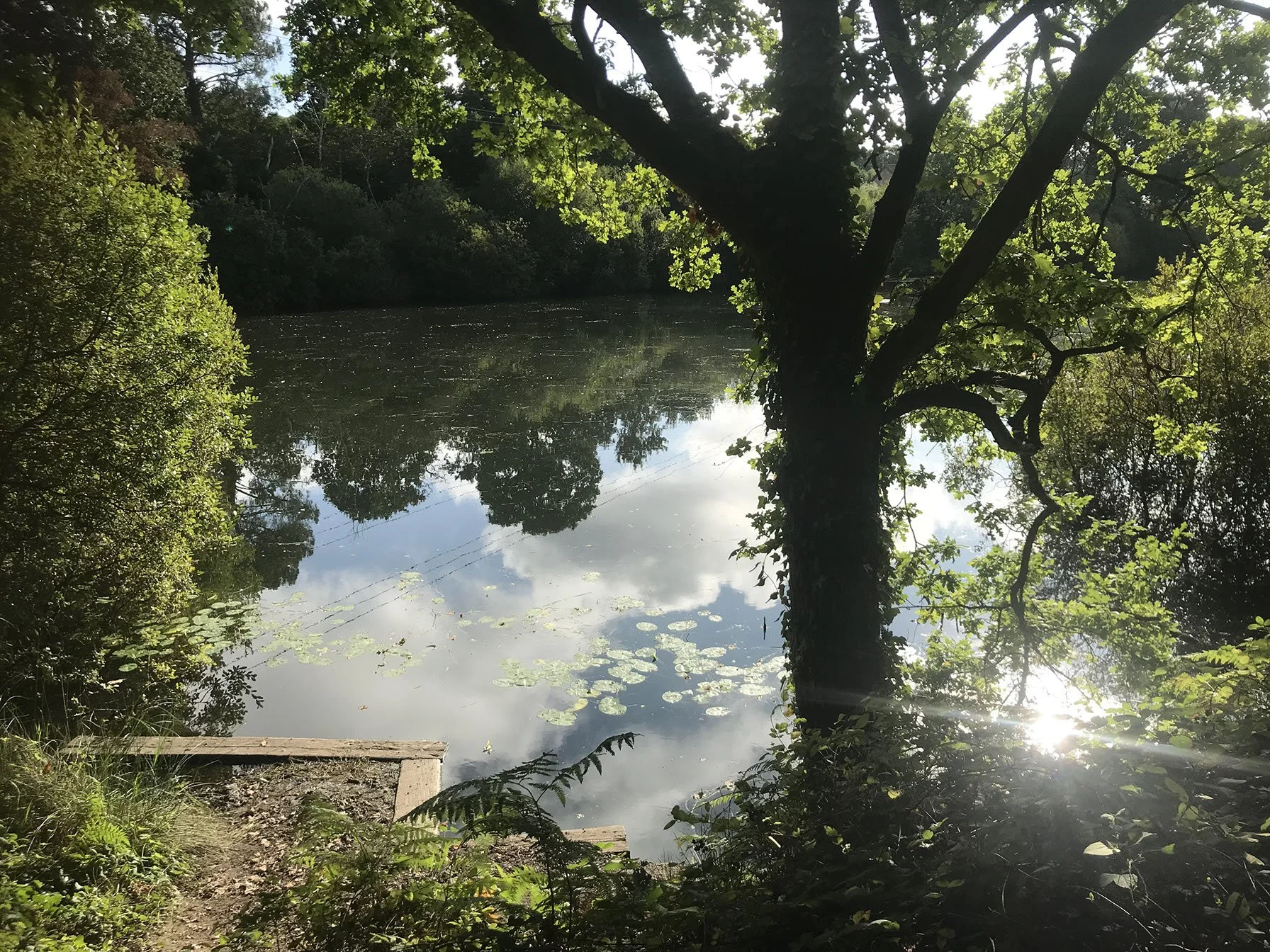 Sunshine on Water