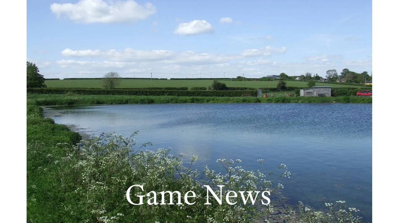May Newsletter 