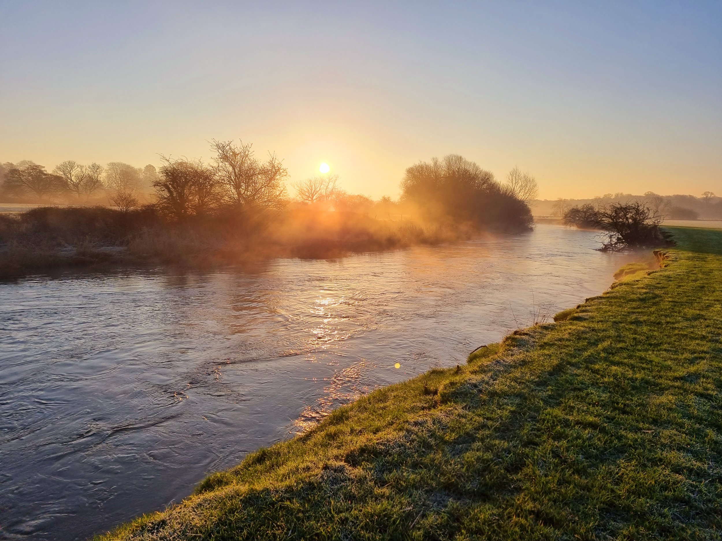A serene river landscape during sunrise, with the sun low on the horizon casting golden light. Bare trees line the riverbank, and a grassy shoreline is visible in the foreground, with gentle ripples on the water.