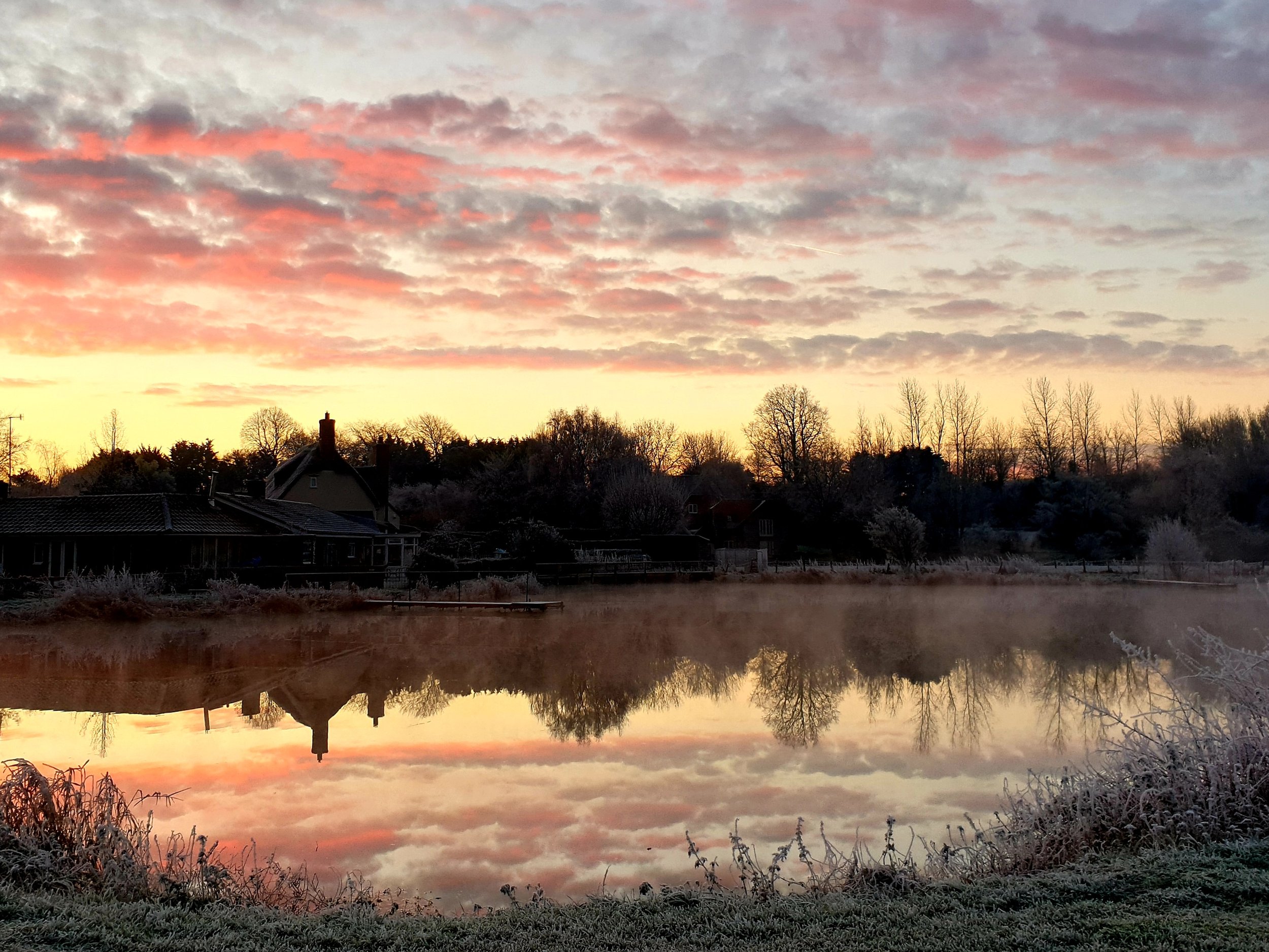 A serene sunrise reflecting on a calm body of water with a line of trees and houses silhouetted against a colorful sky with pink, orange, and purple clouds.