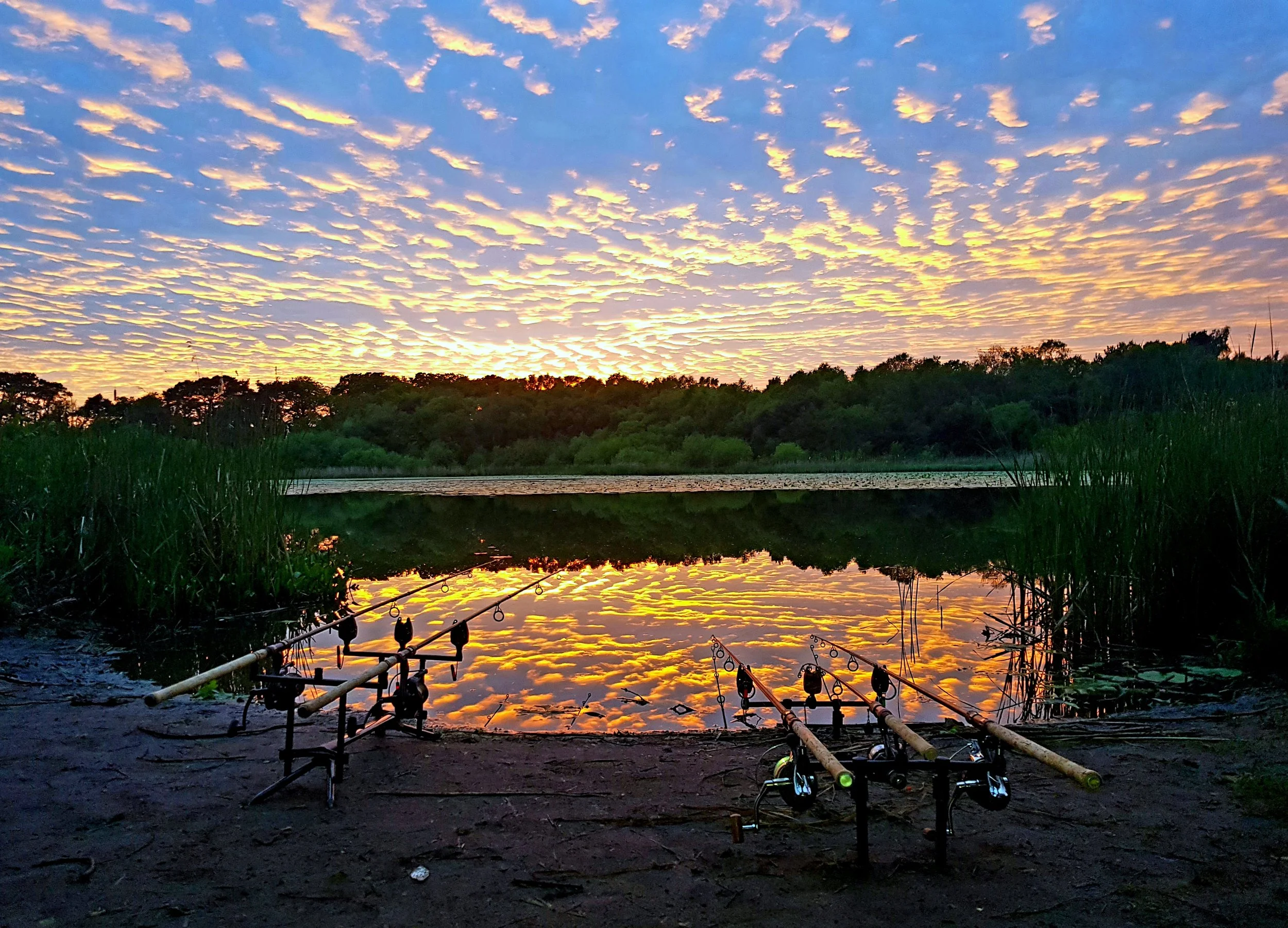 Fishermen's rods and reels set up by a riverbank at sunset with a colorful sky and trees in the background.