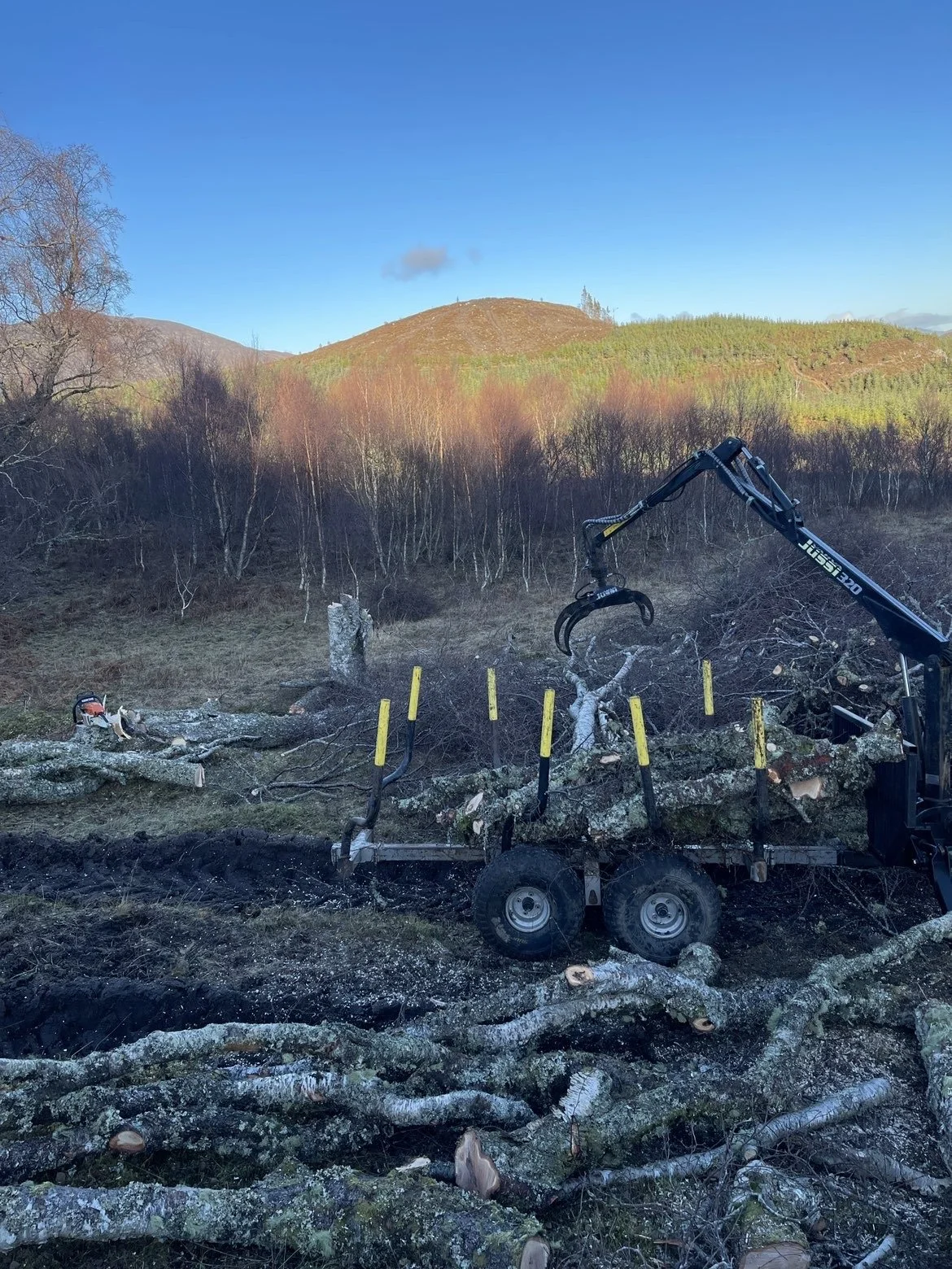 A chainsaw and a piece of machinery removing fallen tree branches and logs in a forest clearing, with a hillside covered in trees and a clear blue sky in the background. Tree Services Dalwhinnie. 