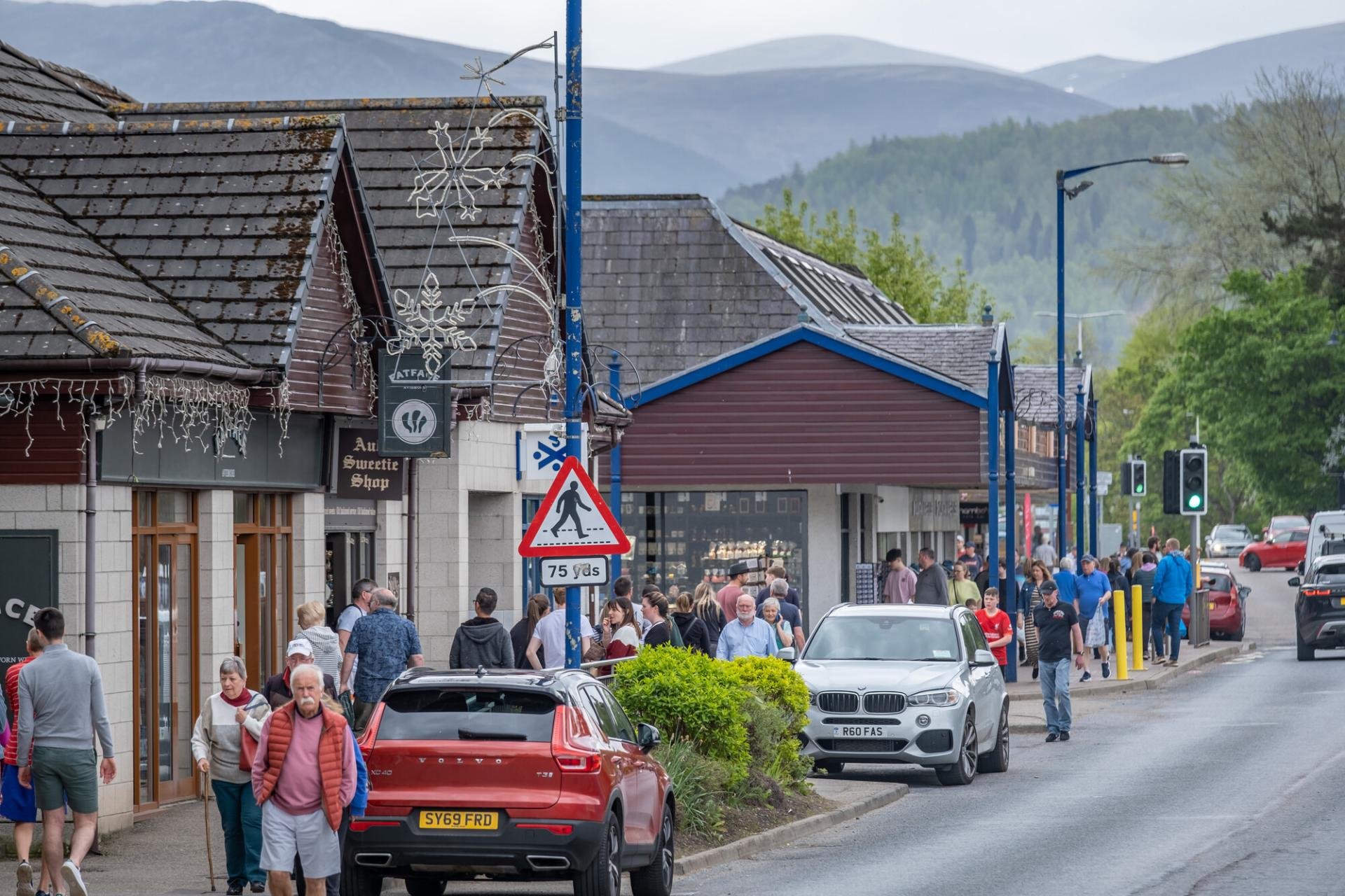 Expert Tree Surgery & Tree Removal Aviemore
