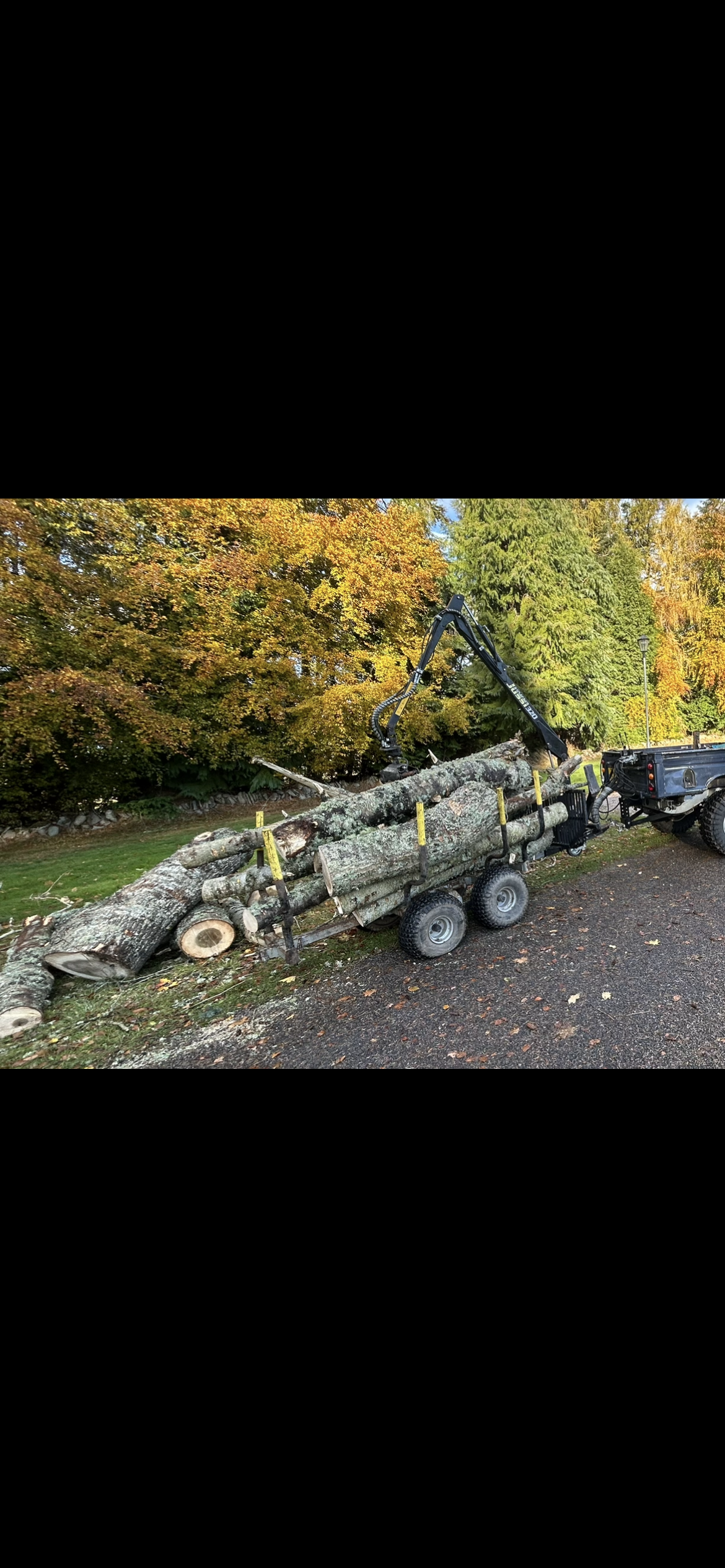A flatbed trailer loaded with cut logs, attached to a black pickup truck. The logs are large, with some showing signs of lichen growth. Tree Services Near Me Inverness.