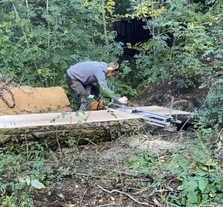 A man in safety headphones is cutting a fallen tree with a chainsaw in a wooded area. Timber Milling Inverness. 