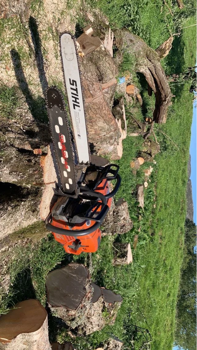 A chainsaw resting on chopped wood logs outdoors in a grassy area with trees in the background. Aviemore Tree Services for sale. 