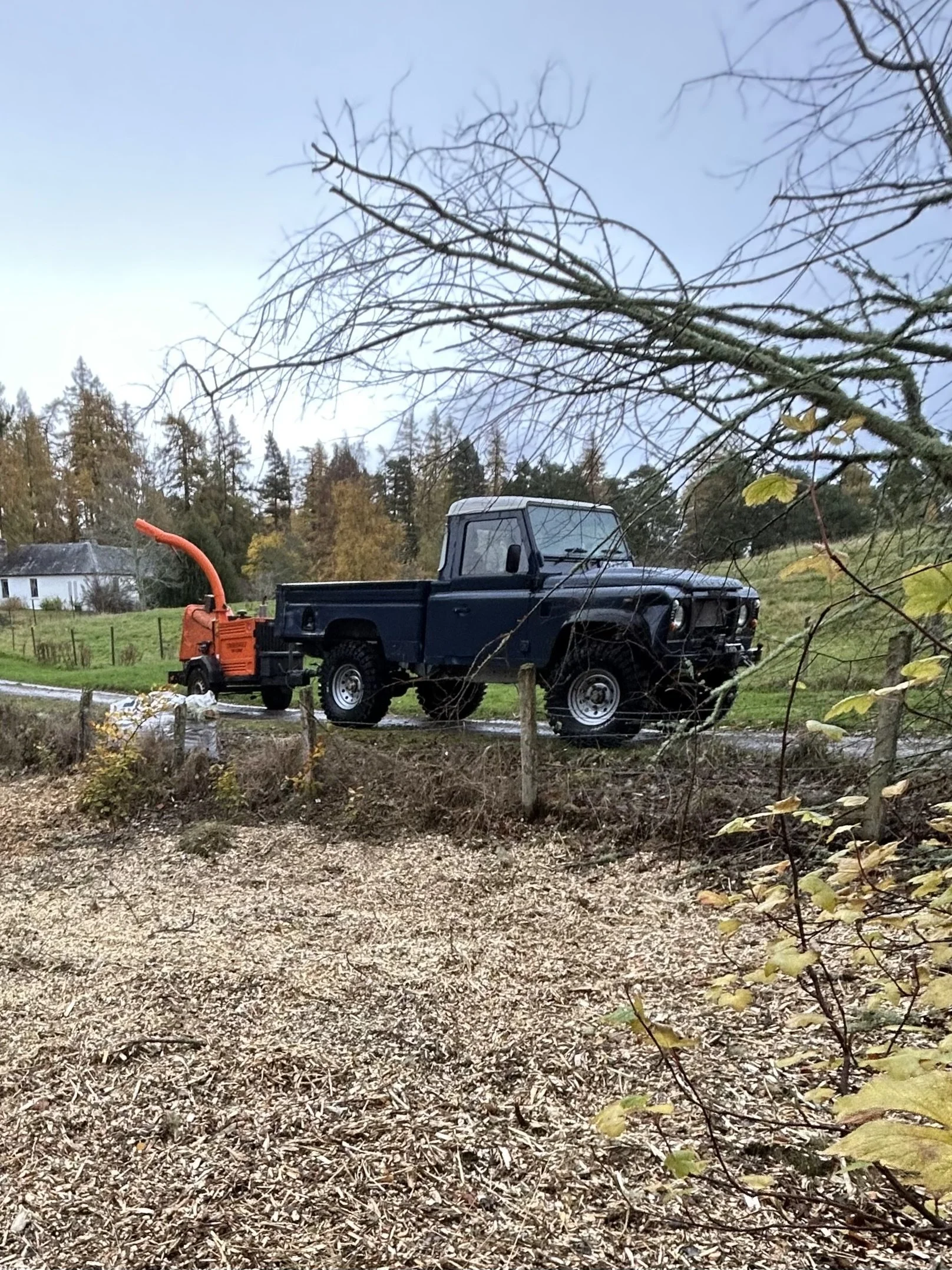 A vintage black truck with a small attached orange wood chipper on the back is parked on a rural road. The scene is set during fall, with bare tree branches and some remaining green and yellow leaves. Tree removal near me Inverness. 