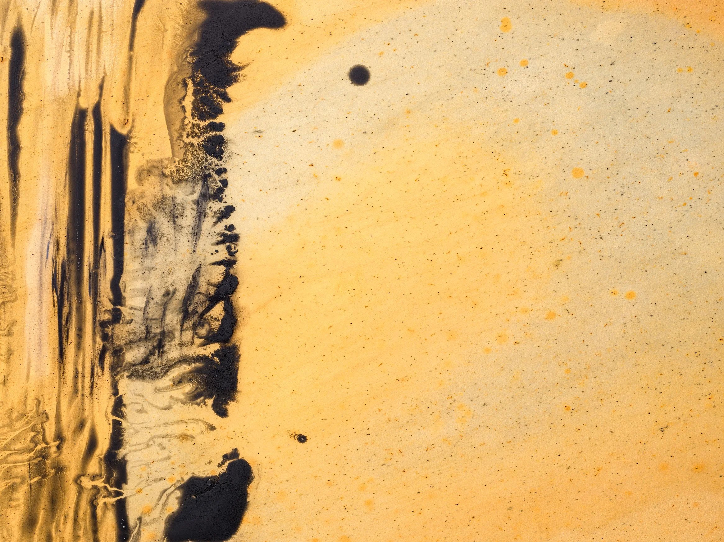 Shobudani_tomae_portrait_slurry_2.jpg