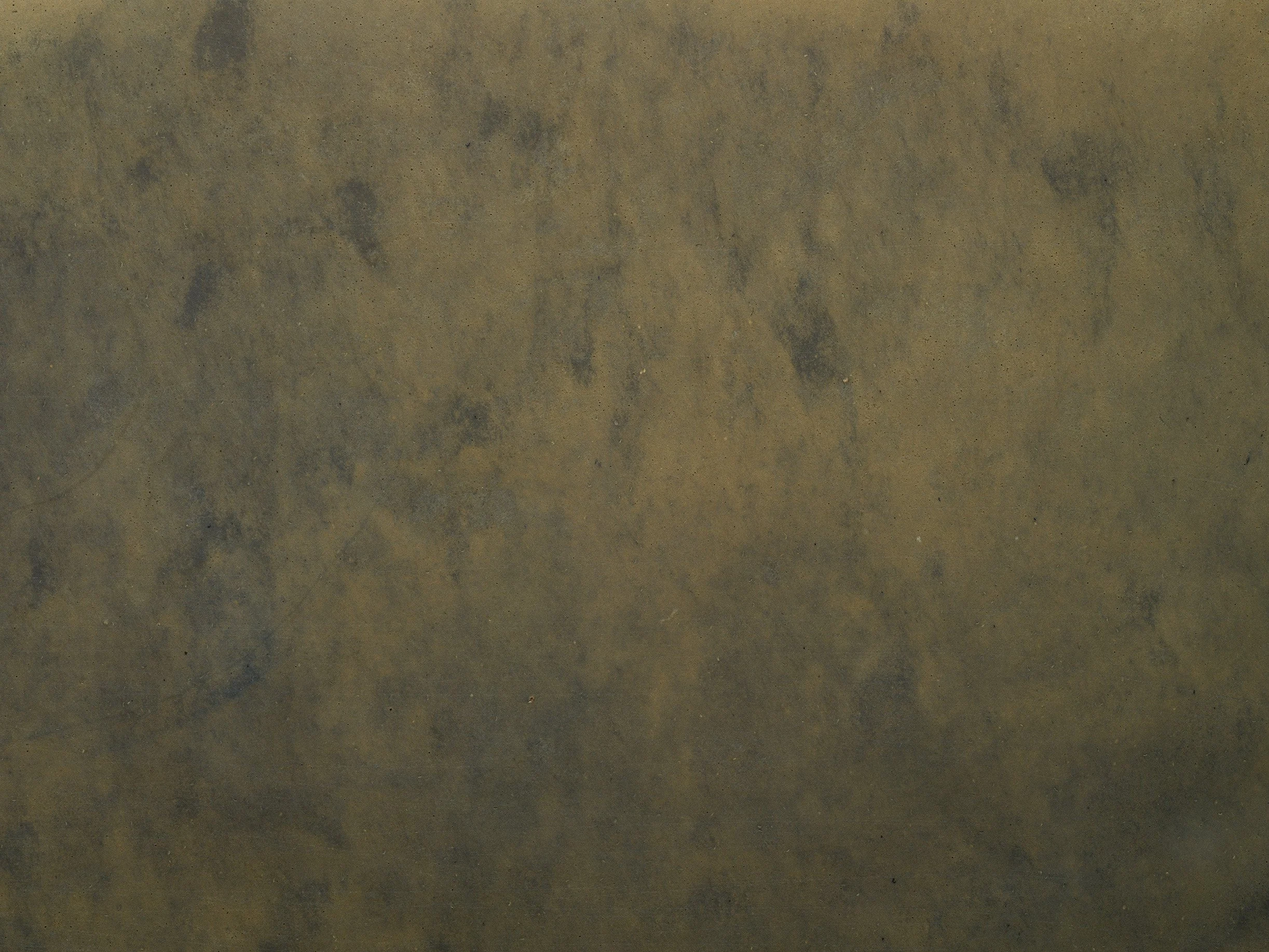 portrait asagi -swatch1-050.jpg.jpg