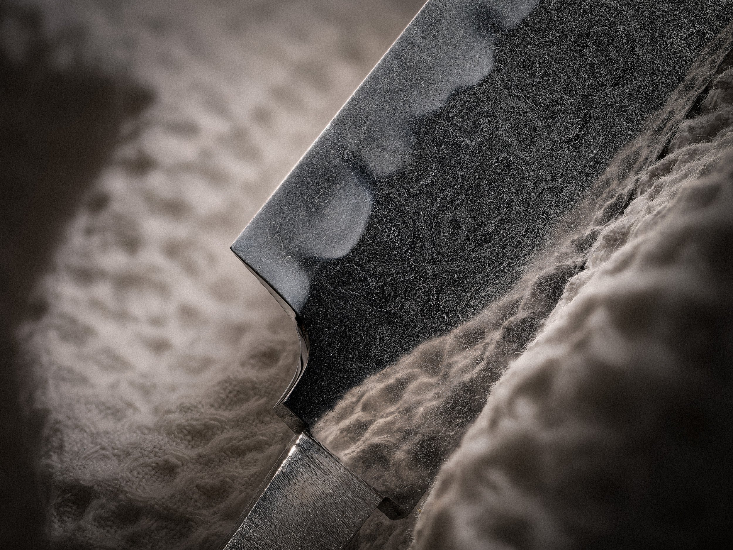 Uchigumori_soft_ura_KATO_close_up.jpg