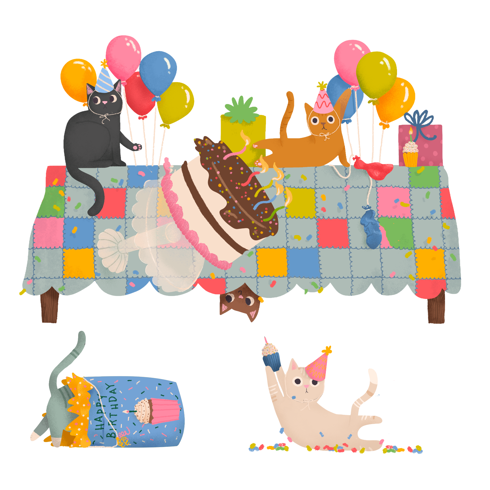 cat shenanigans birthday