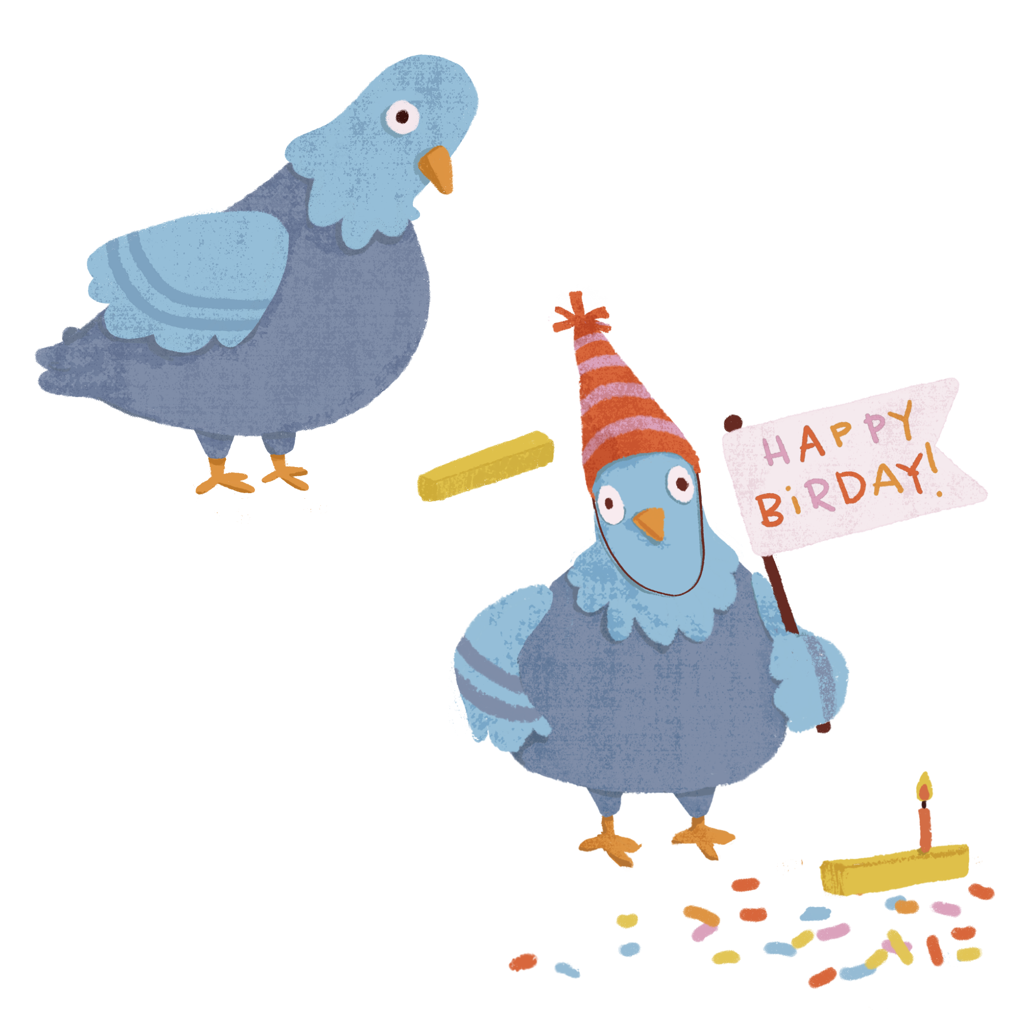 birthday pigeon