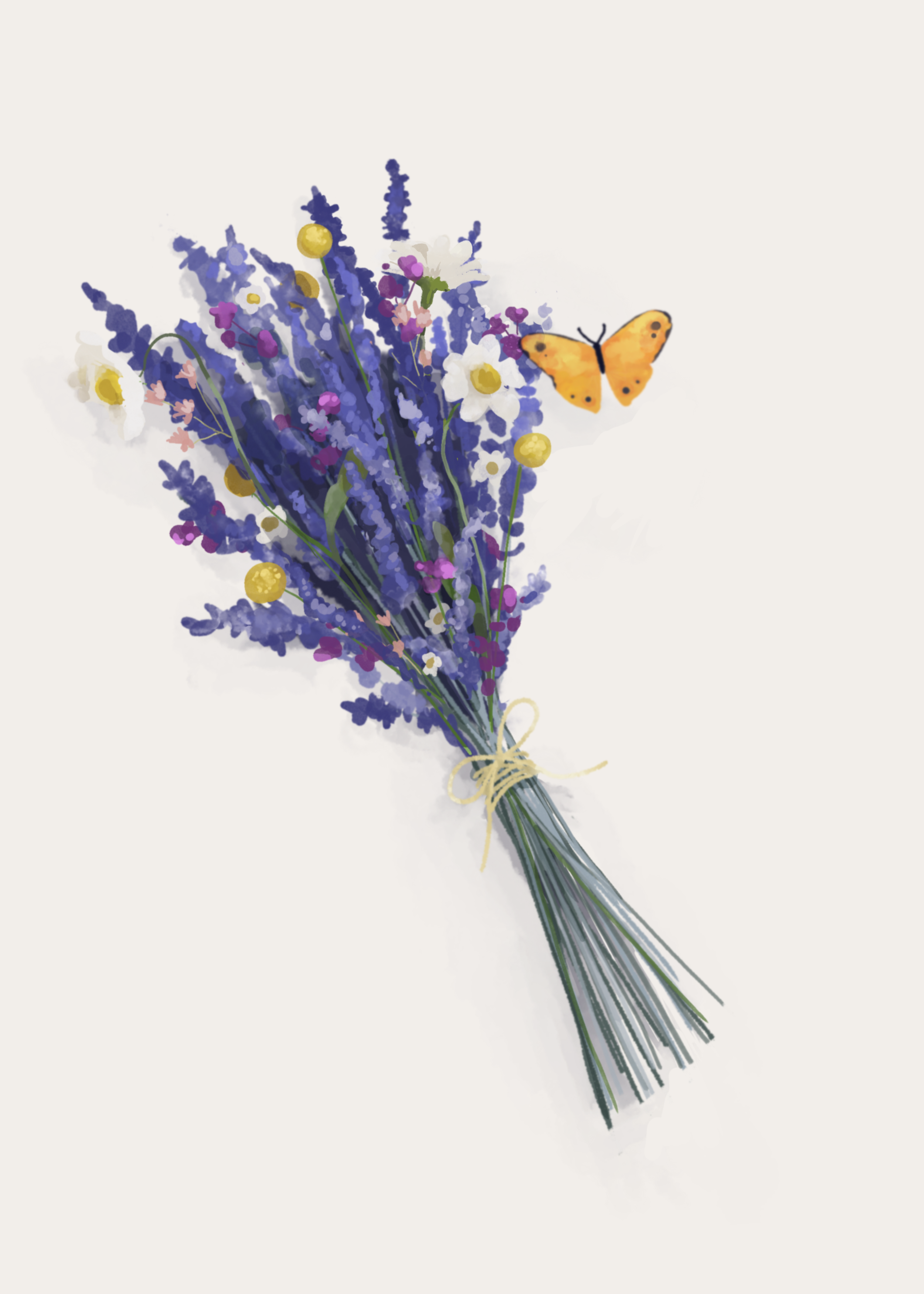 spring lavender bike ride