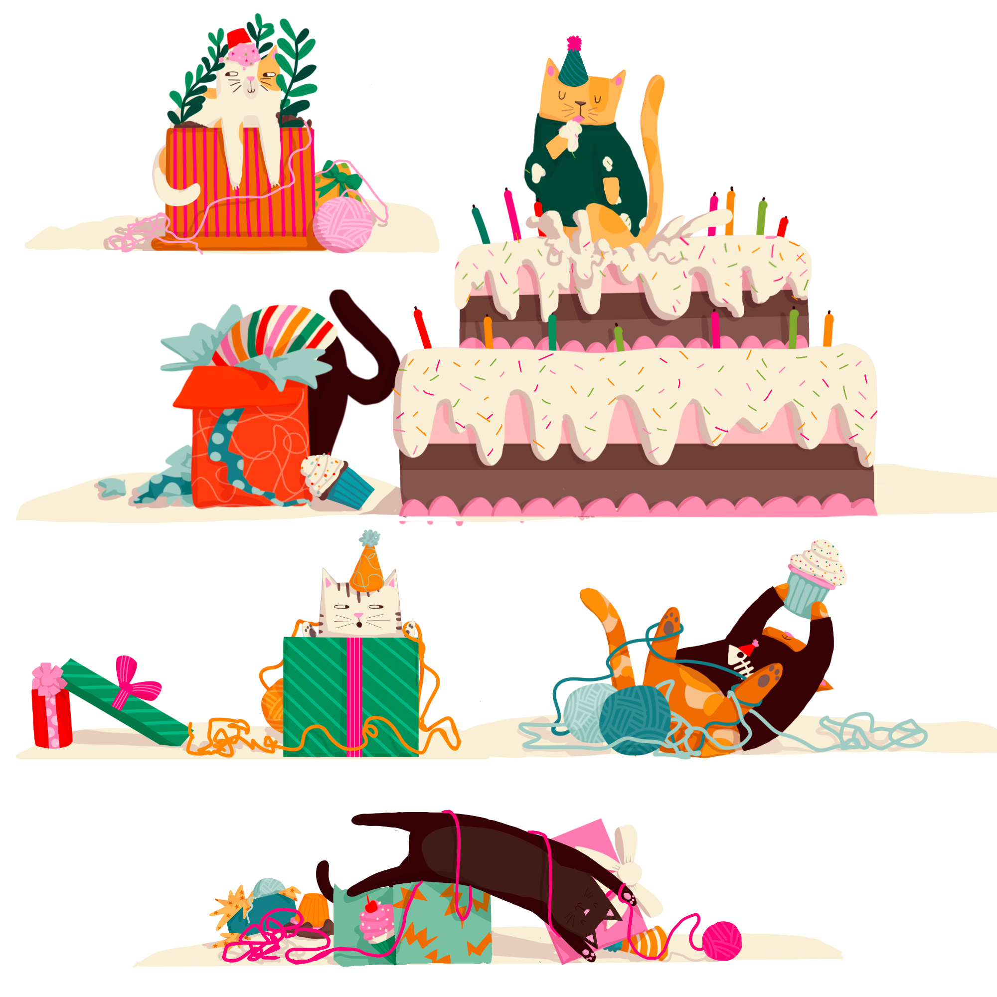 cat birthday party