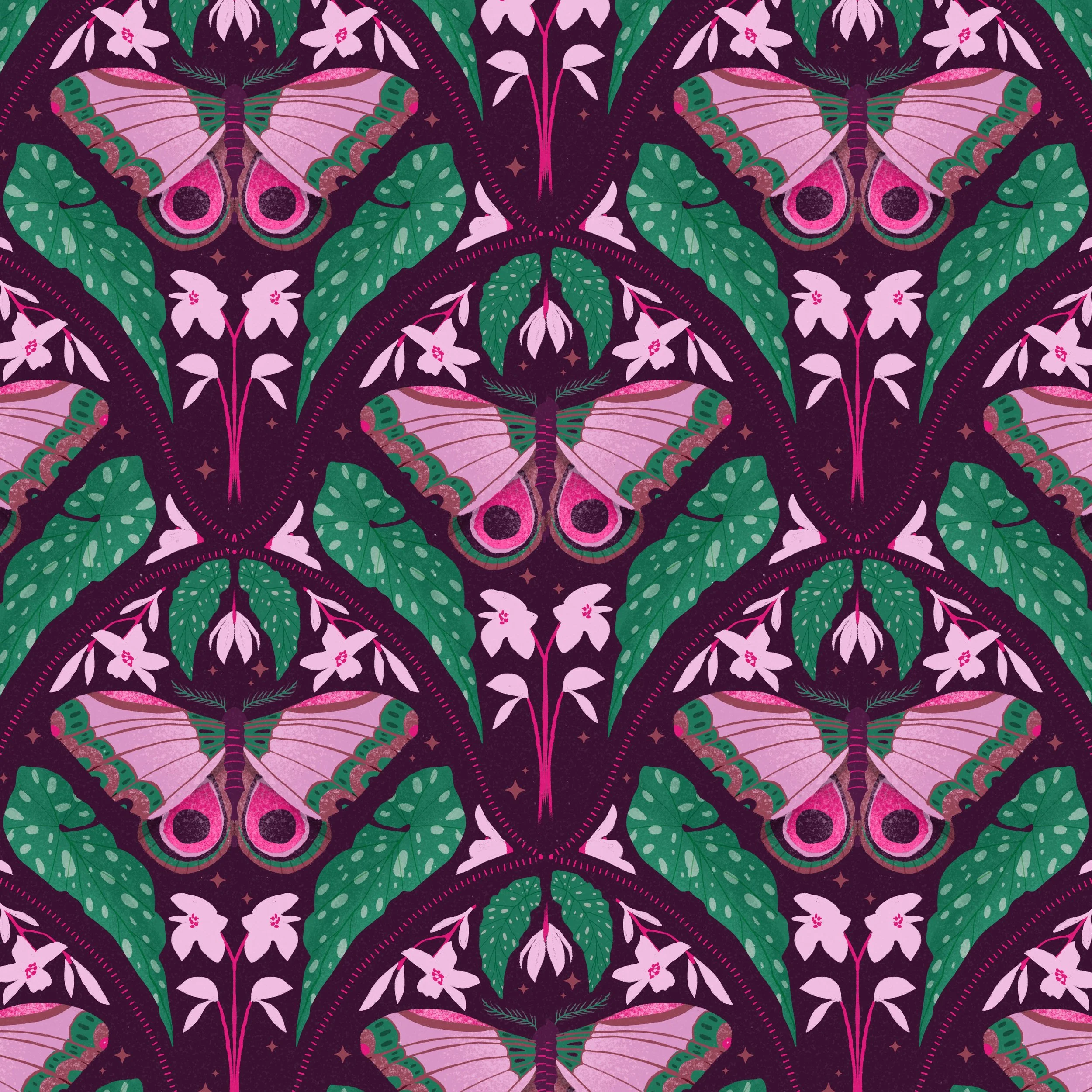 moth_website.jpg