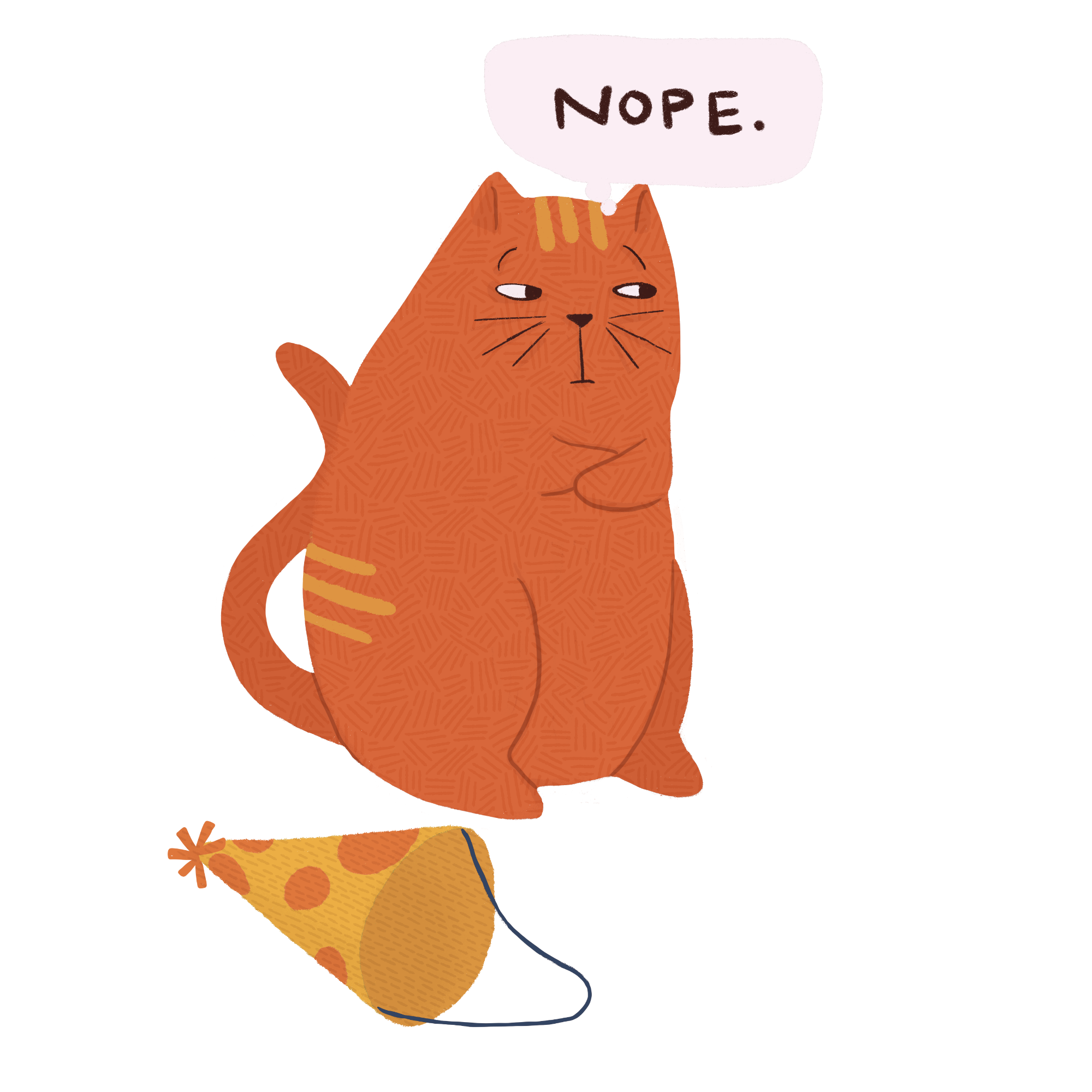 nope cat
