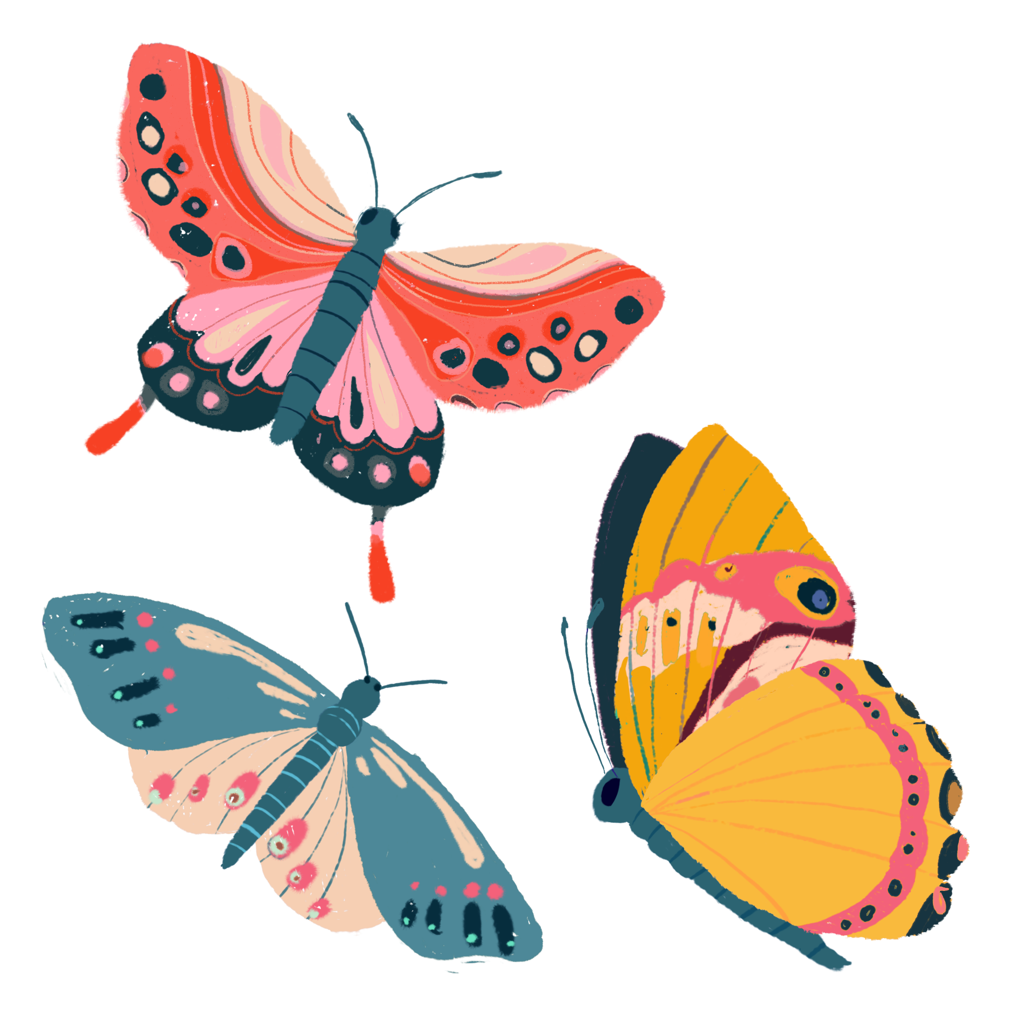 butterflies