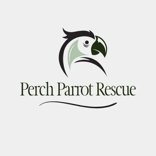 Perch Parrot