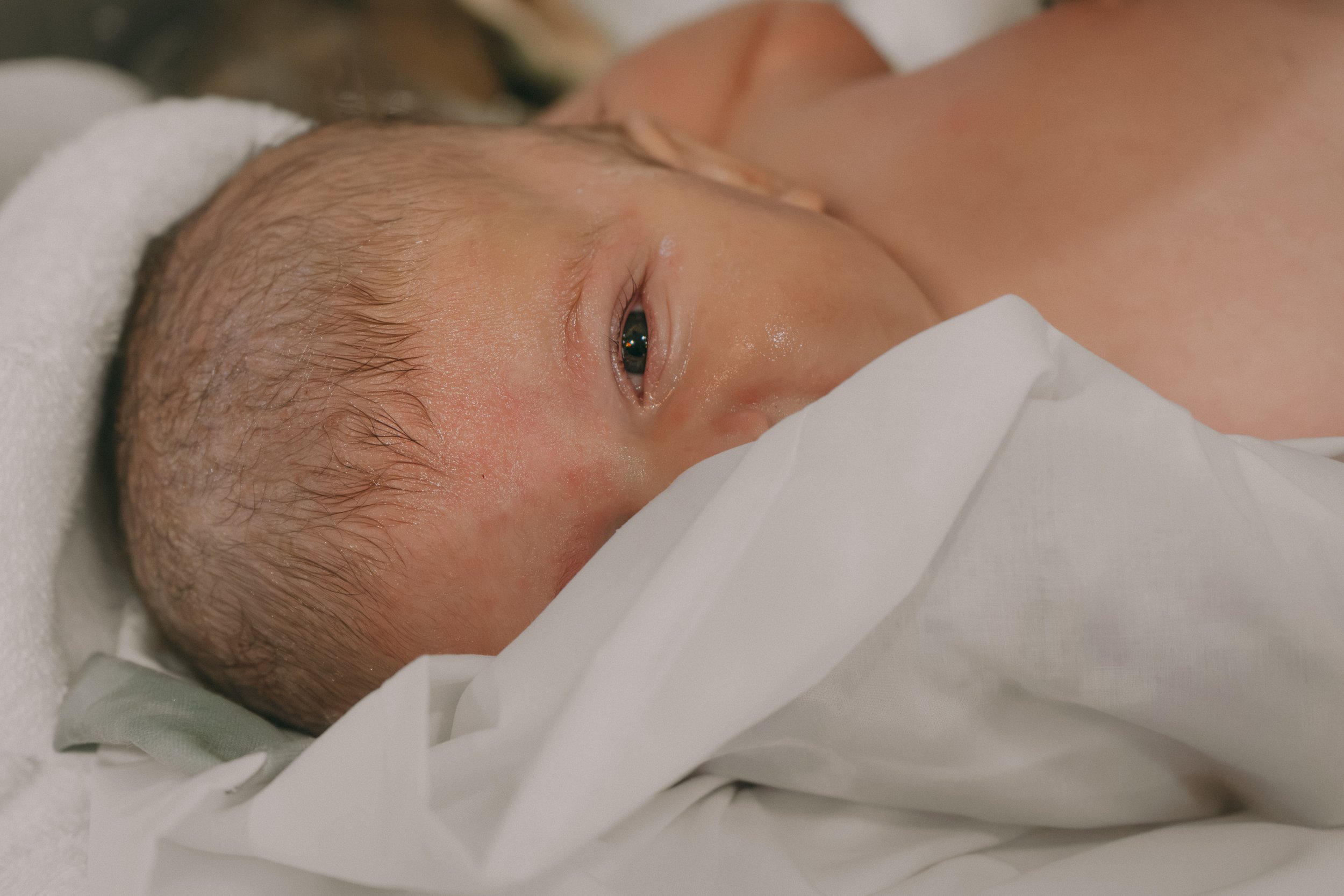 Close-up of a newborn baby lying on a white blanket, partially covered with a white cloth, with wet hair and open eyes.