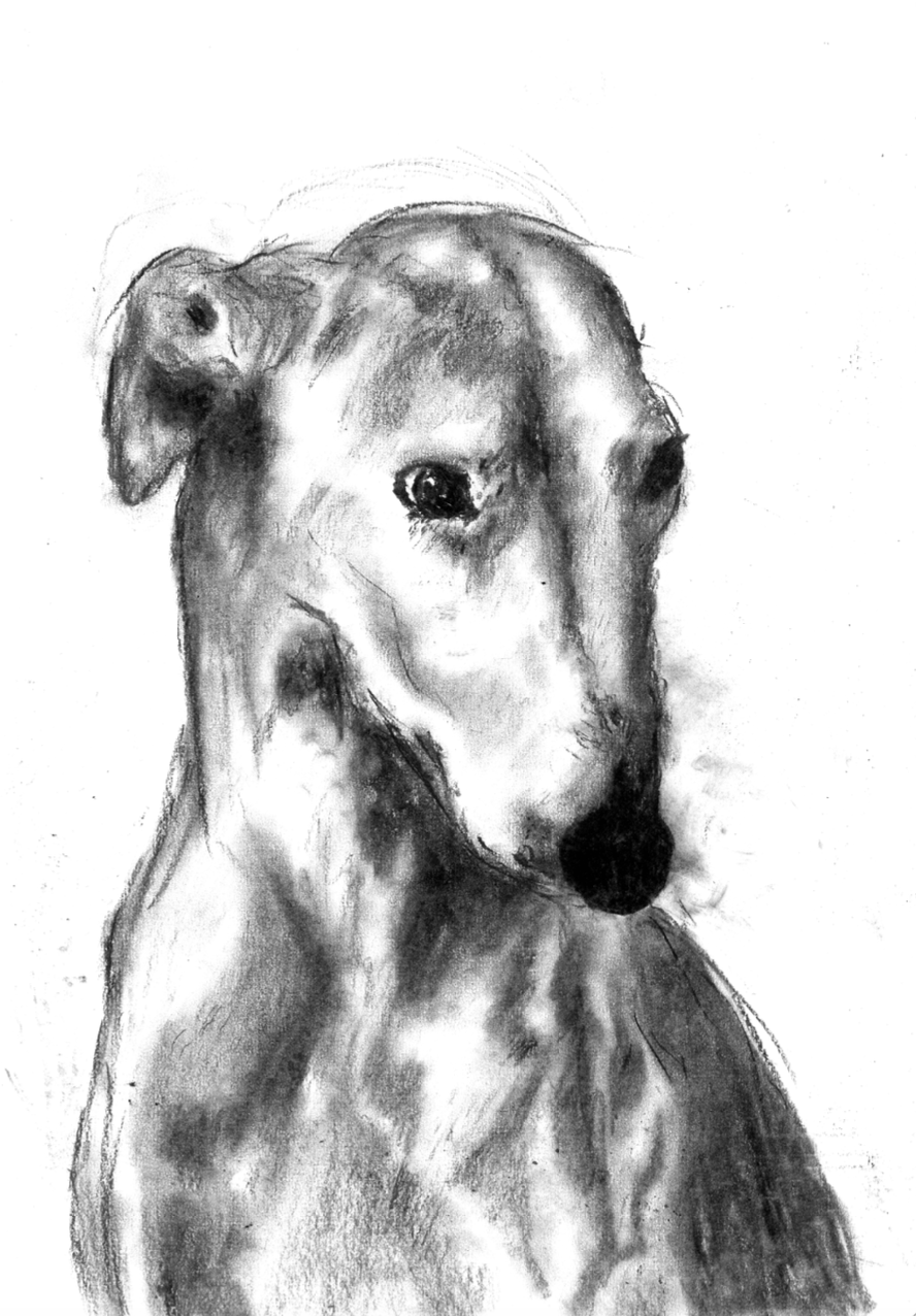 John Murray Originals book cover proposal