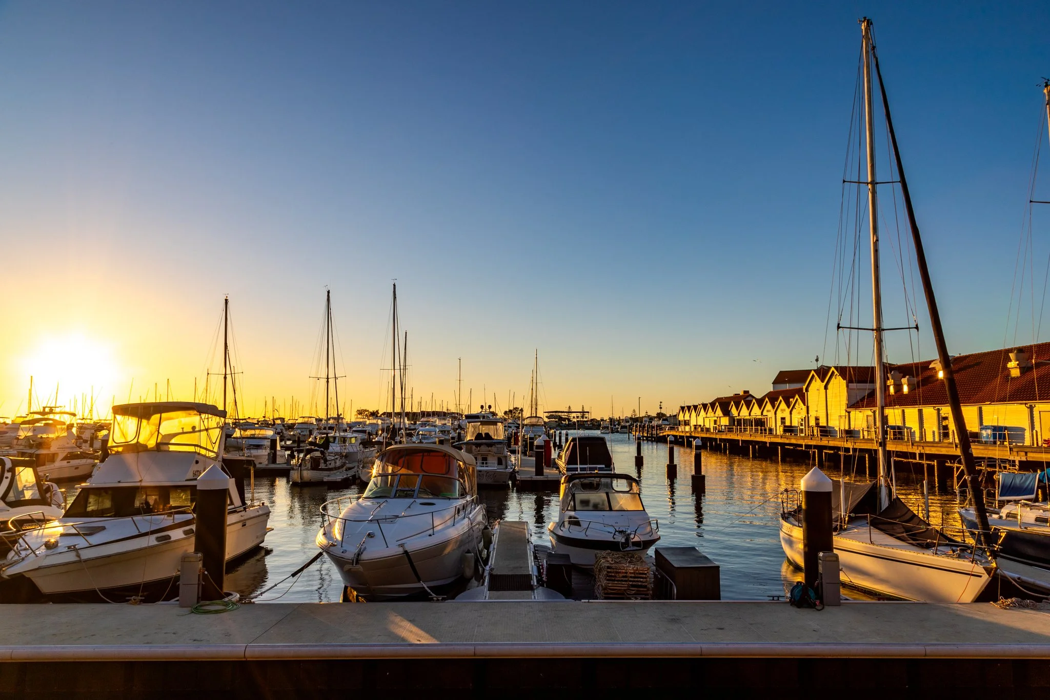 Boats docked at a marina during sunset with houses along the water.