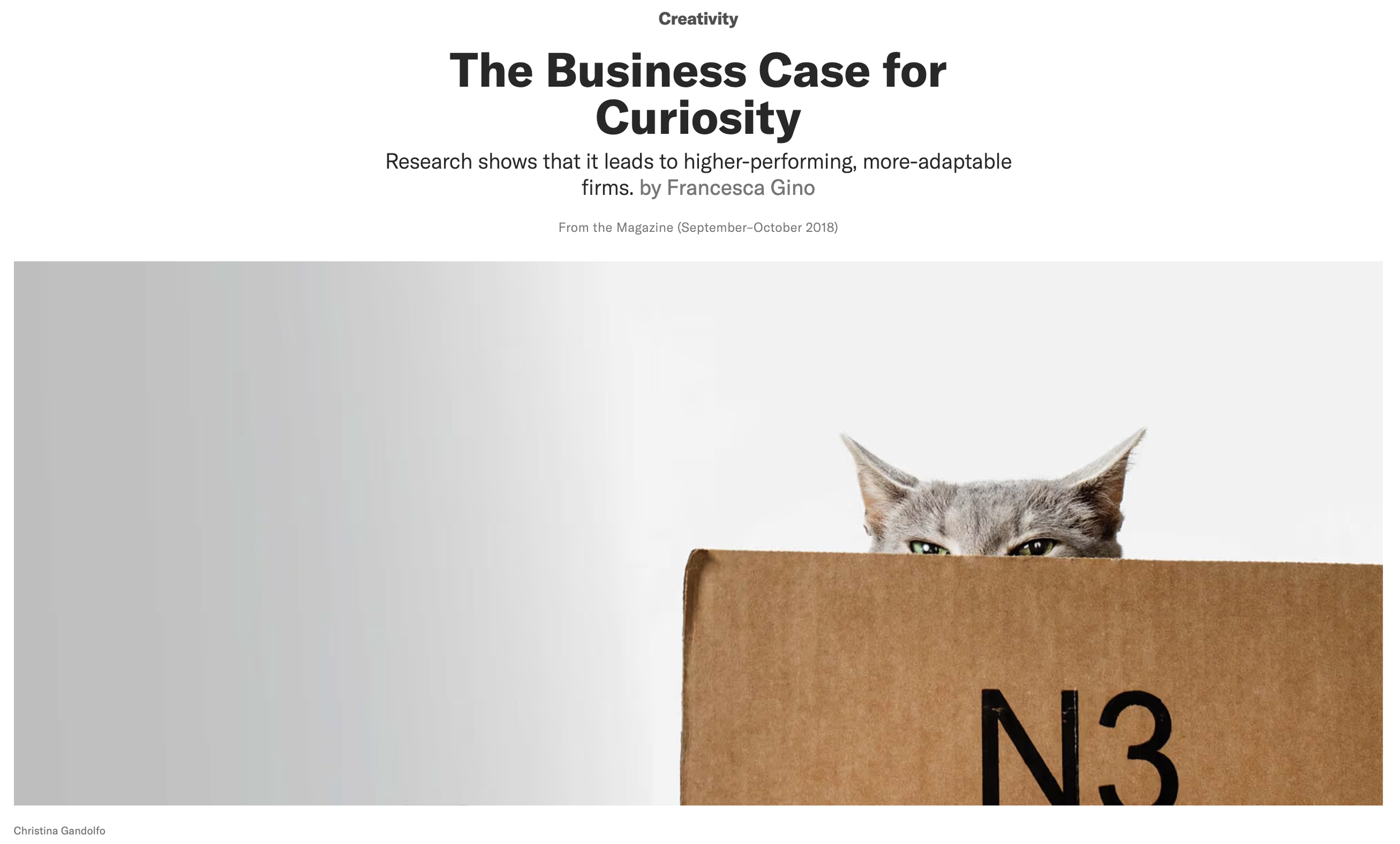 A magazine article titled 'The Business Case for Curiosity' with a subtitle mentioning research on higher performance of adaptable firms. The page features a partial image of a gray cat peeking over a cardboard box labeled 'N3' against a white background.