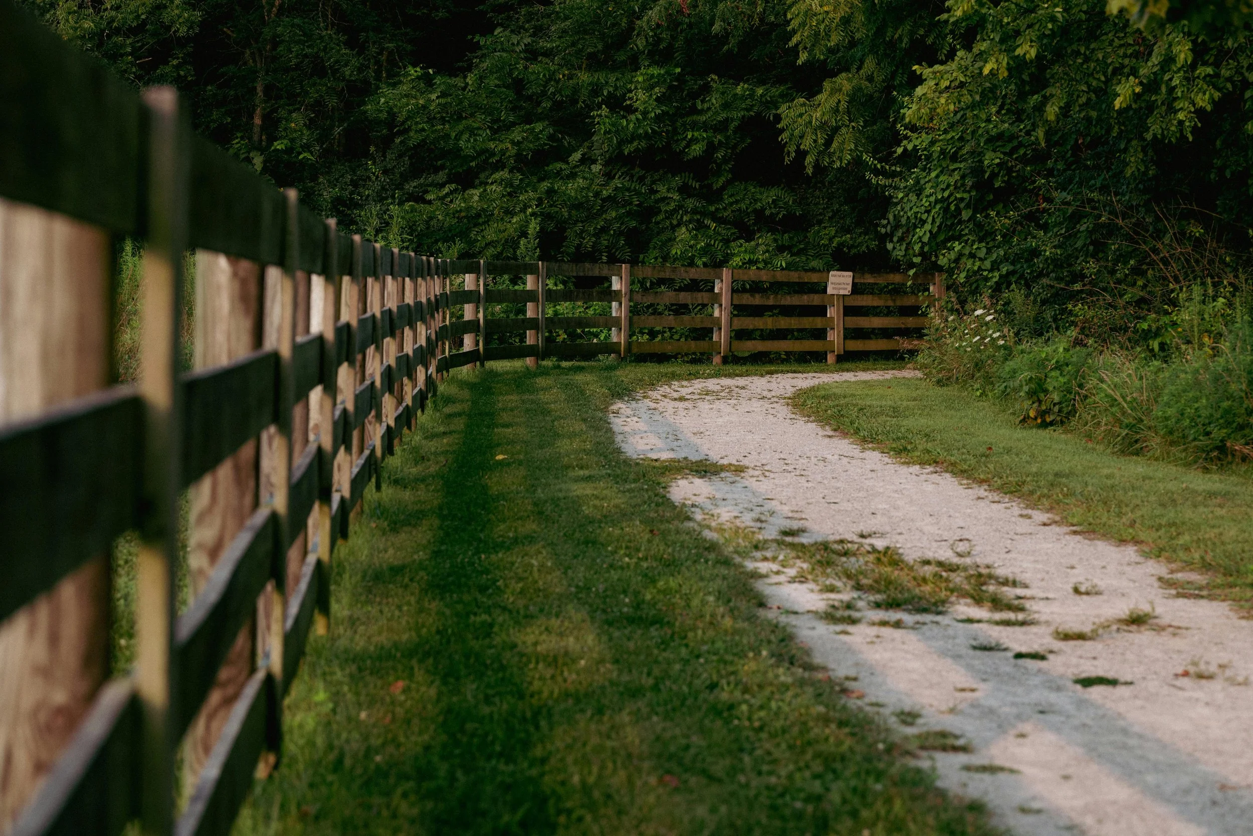 A dirt pathway with grass on both sides, bordered by a wooden fence on the left, and dense green trees in the background. A small sign is visible on the fence in the distance.