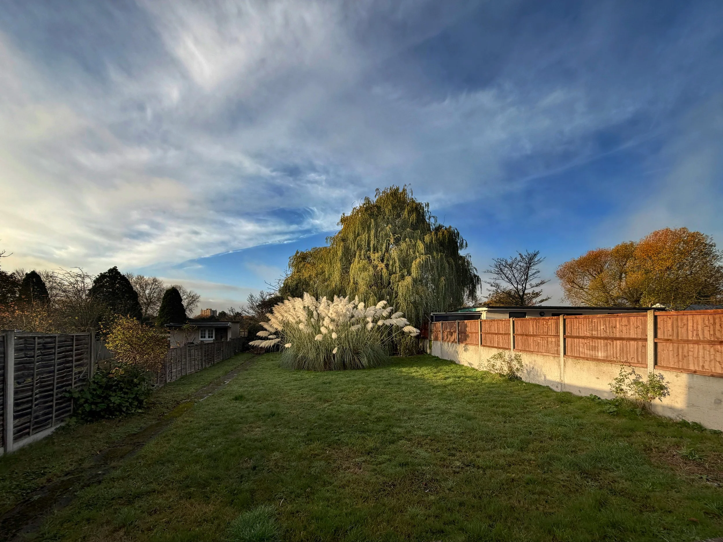 Rental to Sale-Ready Garden Reset: Getting the Outside Ready Before Photos, Viewings, Checkout or Re-Letting