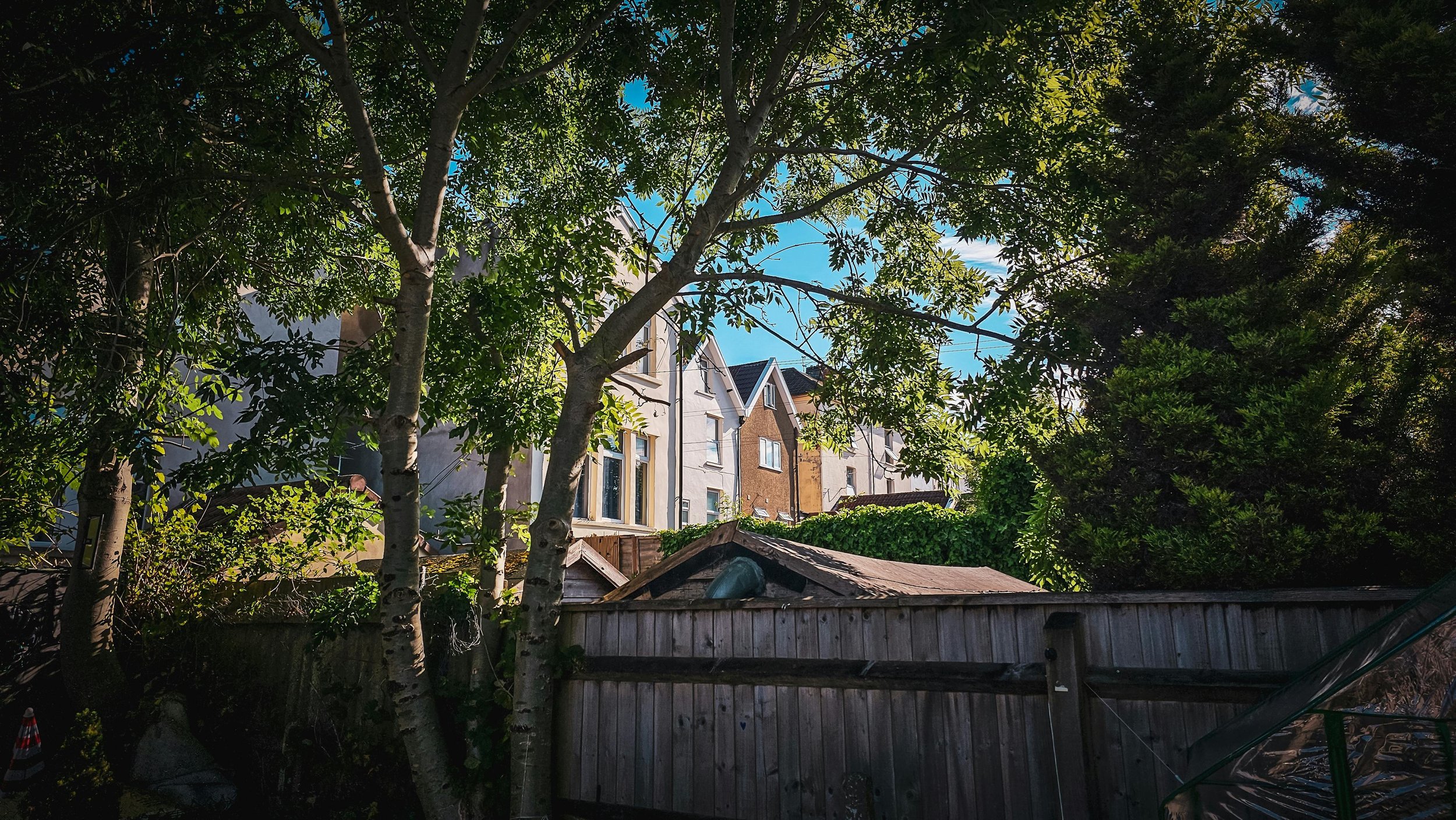 A backyard with trees and a wooden fence, with houses visible in the background under a partly cloudy sky.