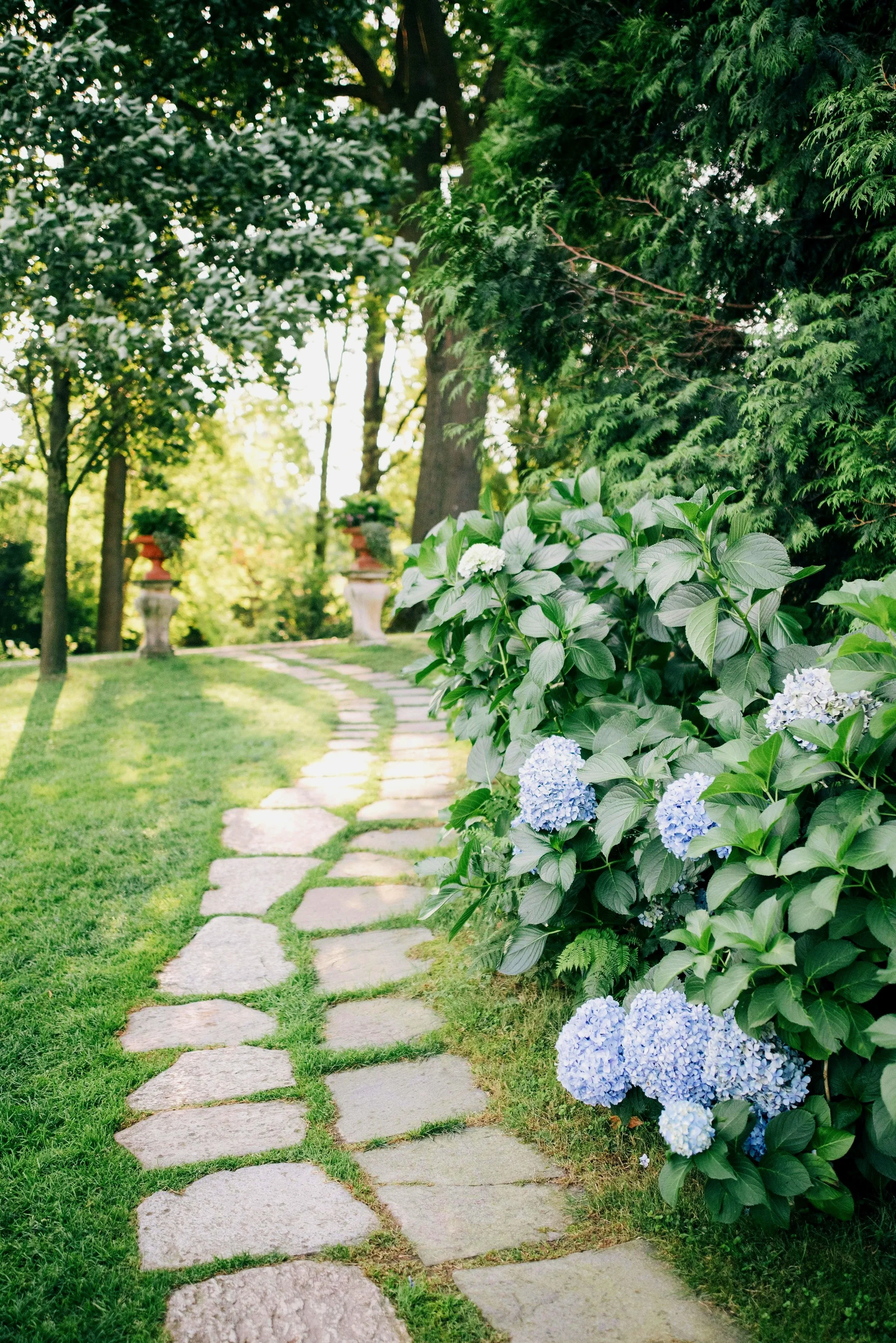 A stone pathway winding through a lush, green garden filled with trees and flowering shrubs, including hydrangeas with blue and white blossoms.