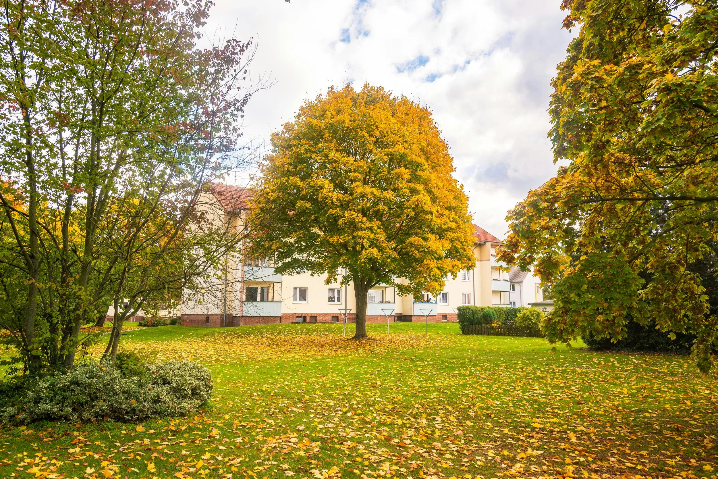 A park scene during autumn with colorful trees, fallen leaves on the grass, and residential buildings in the background.