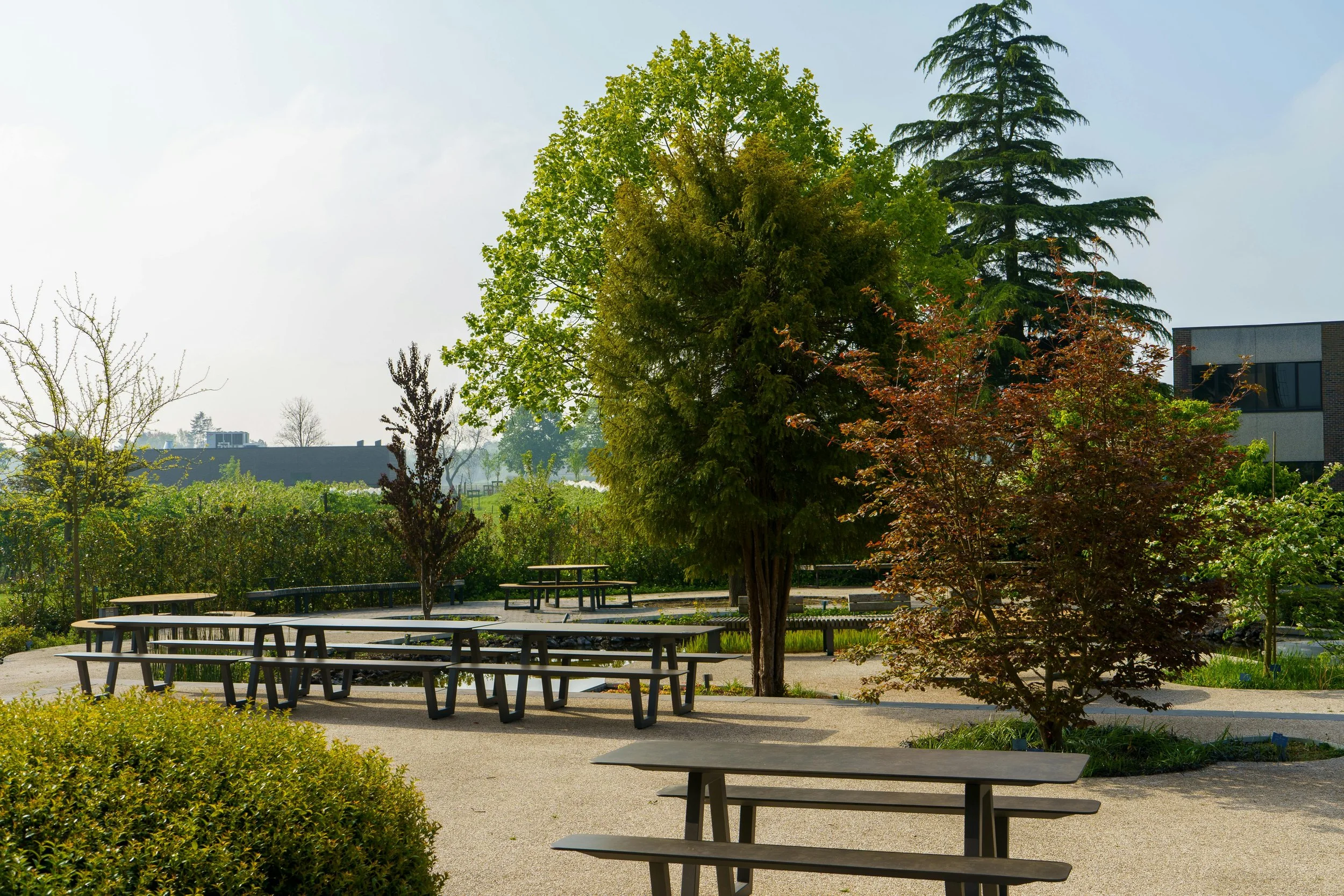 A park area with several picnic tables, trees with green and reddish leaves, bushes, and a modern building in the background.